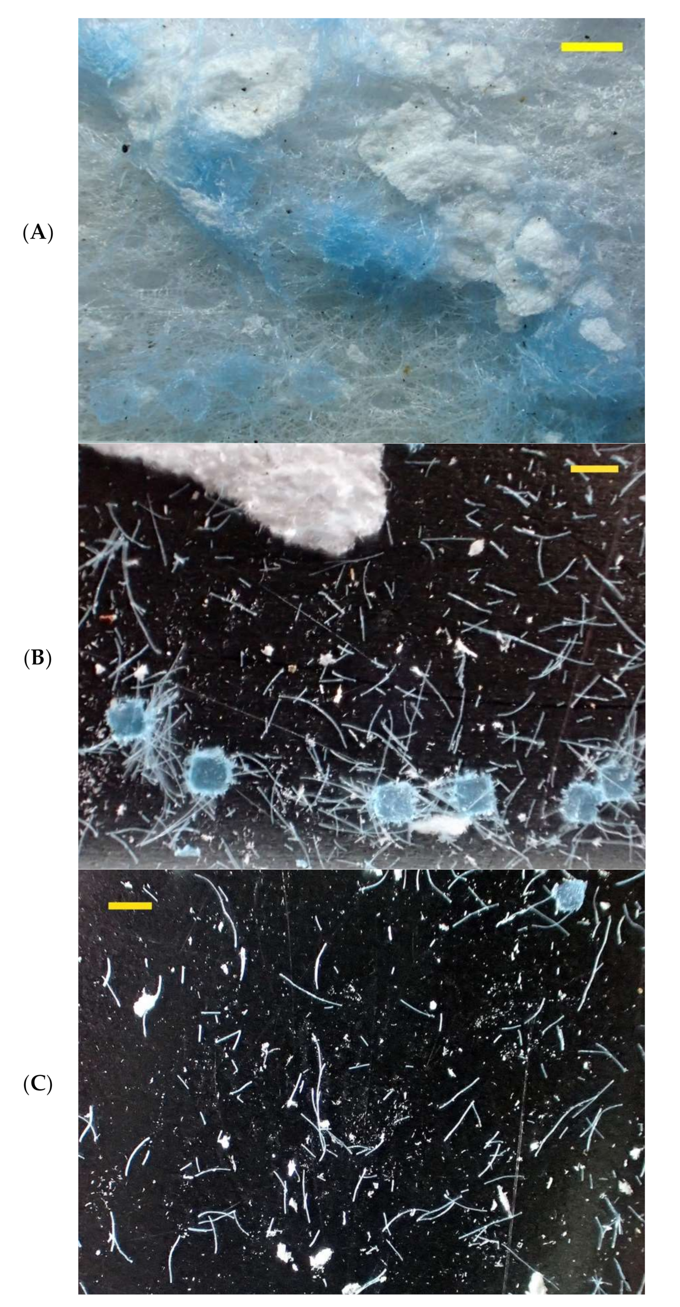 Environments 09 00094 g016