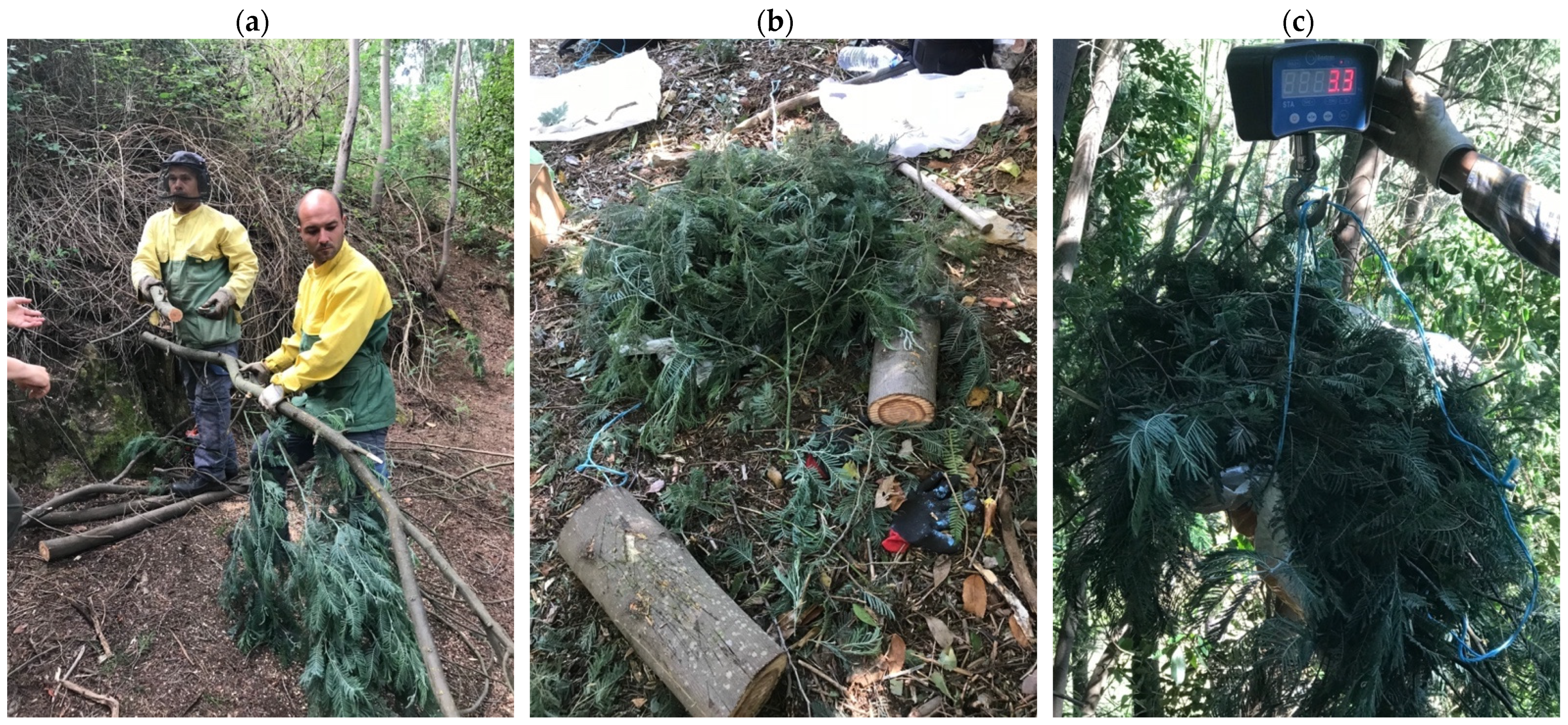 Environments 09 00104 g002 550