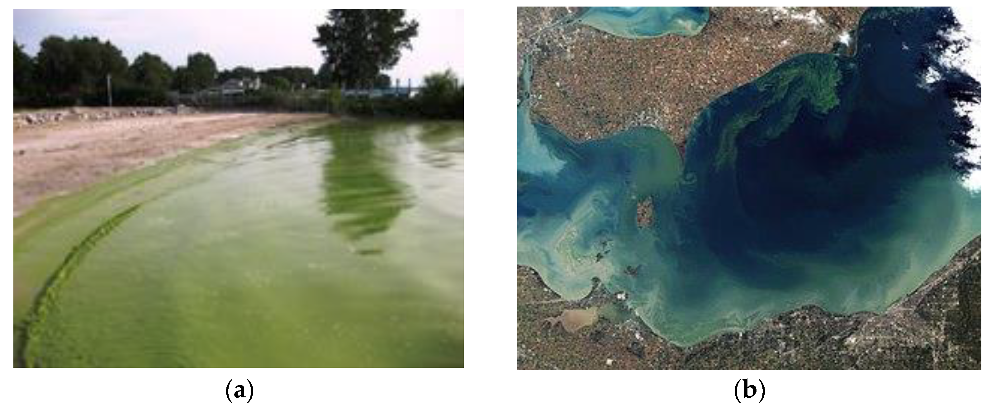 Environments 09 00125 g001