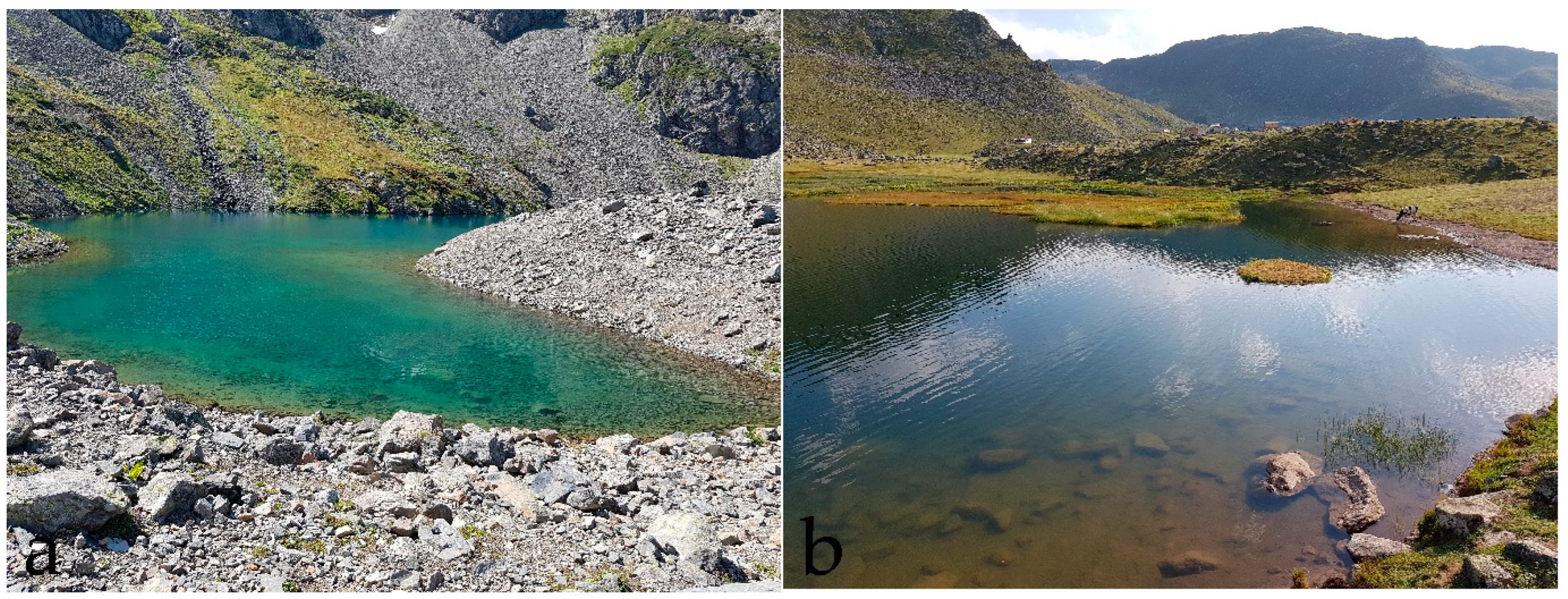 Environments 09 00127 g002