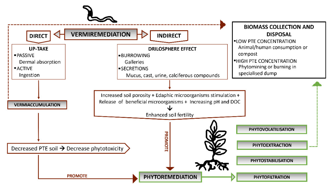 Environments 09 00133 g002 Environments 09 00133 g002