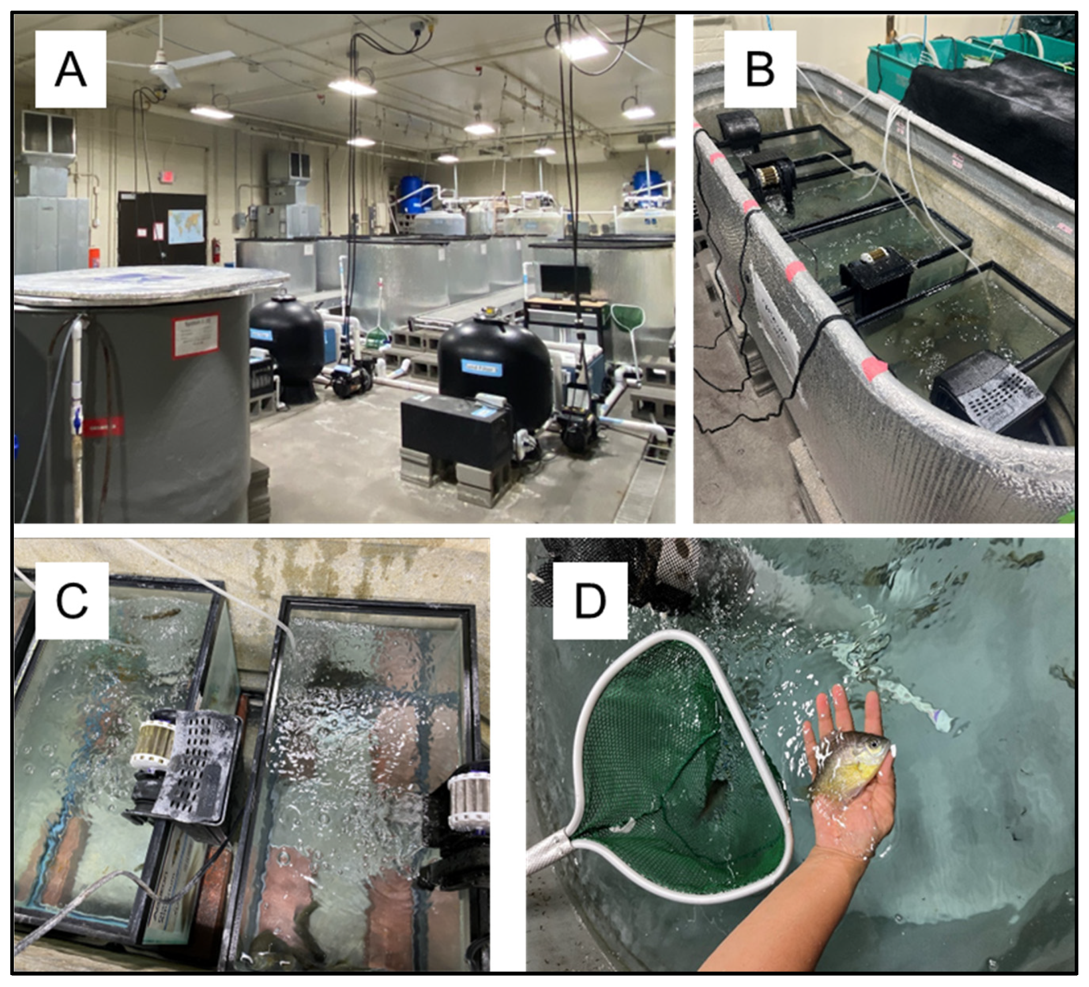 Environments 10 00020 g006