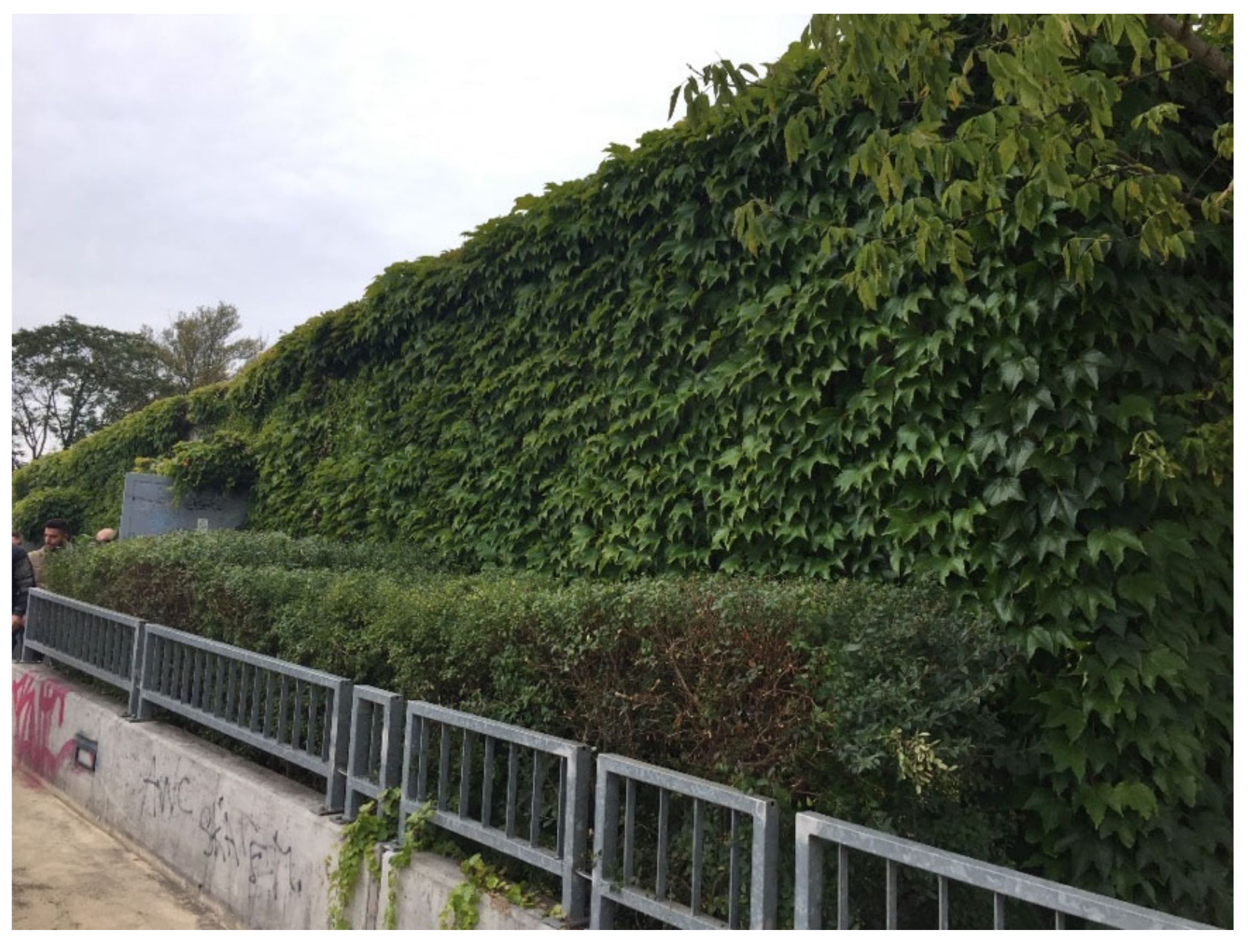 Environments 10 00026 g001 550