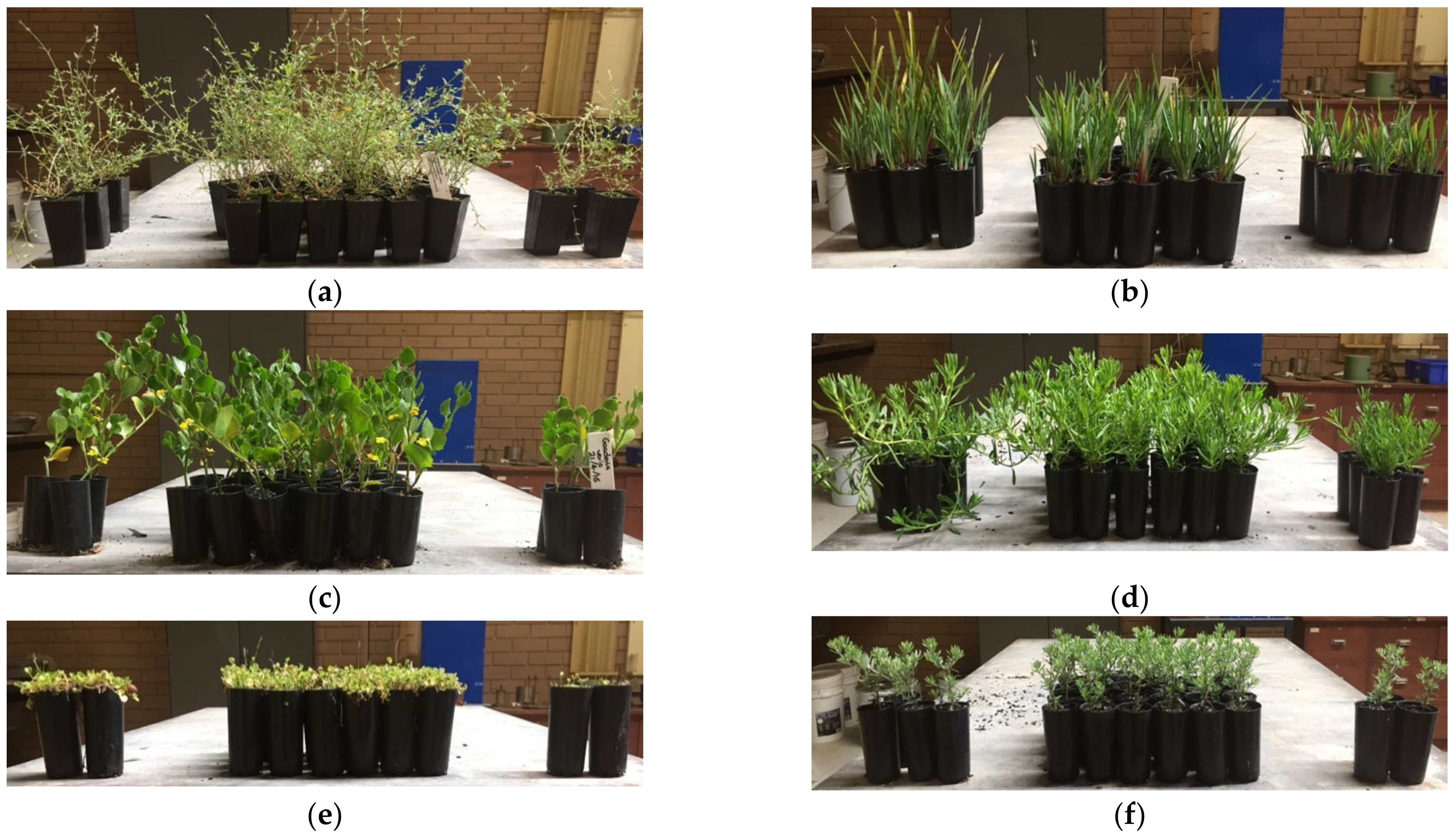 Environments 10 00026 g003 550