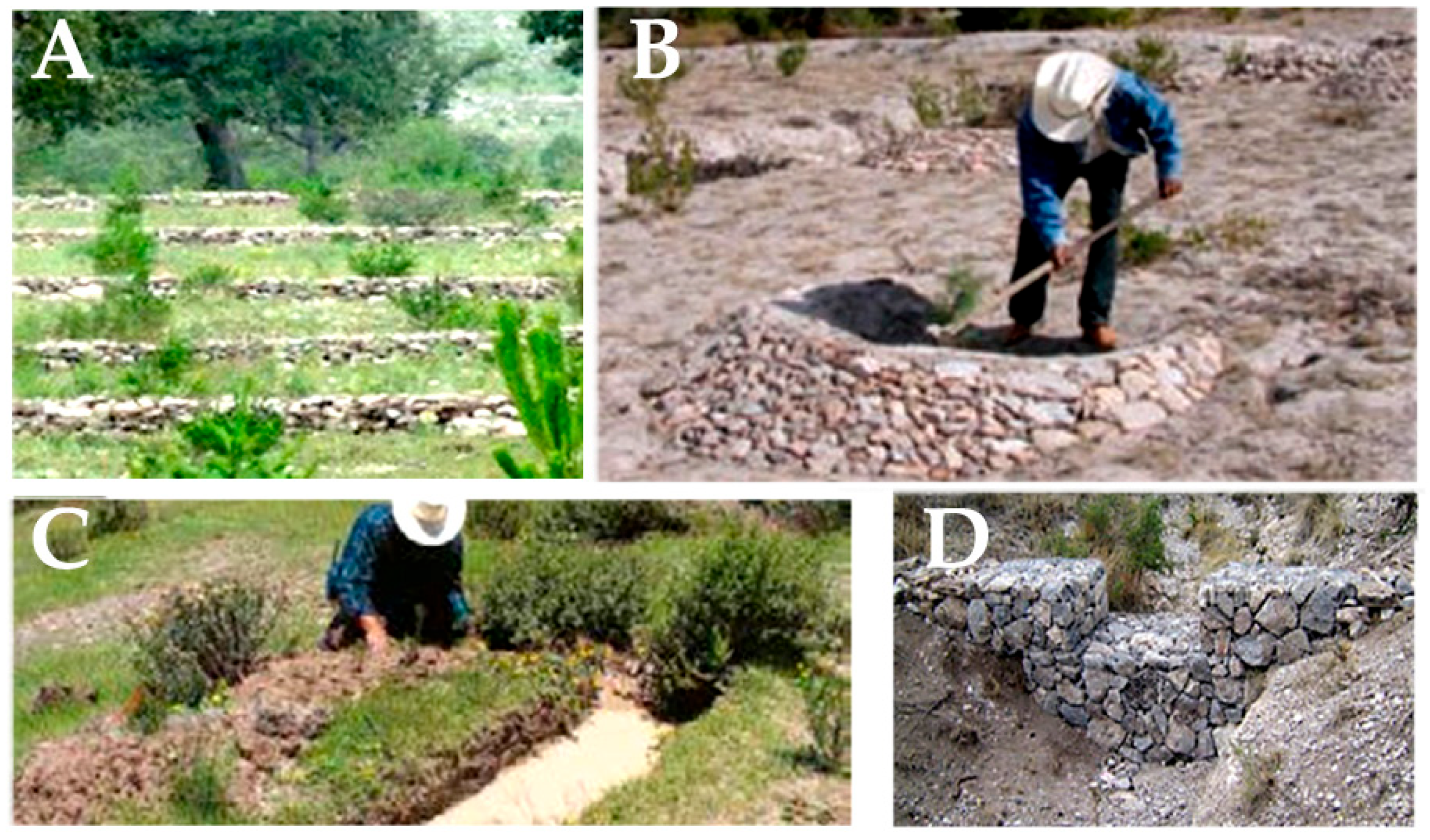 Environments 10 00037 g006