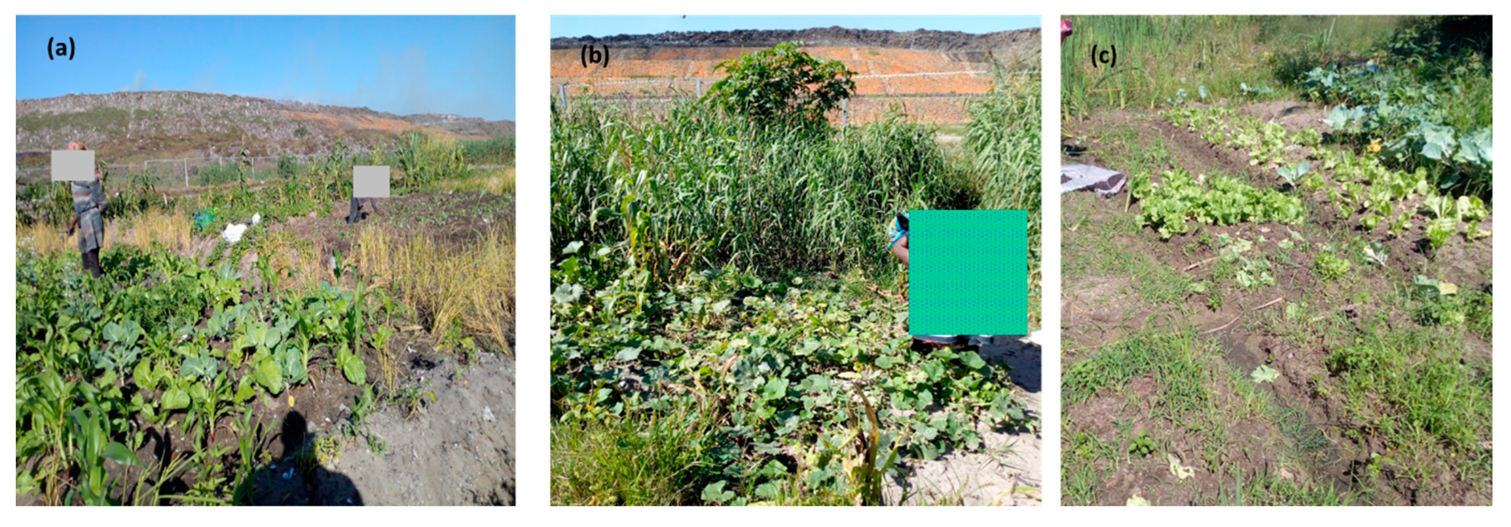 Environments 10 00045 g002