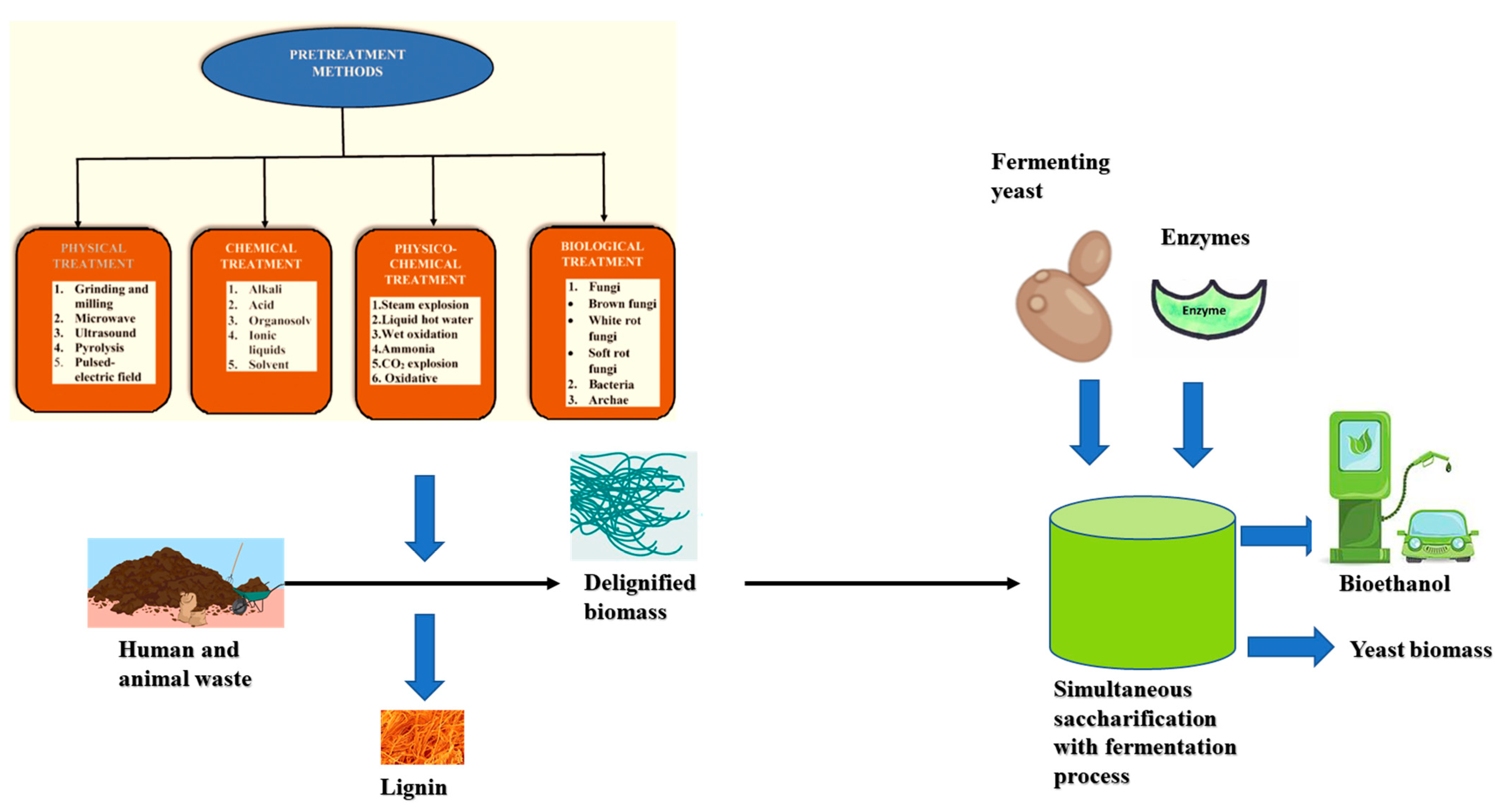 Environments 10 00046 g009 Environments 10 00046 g009