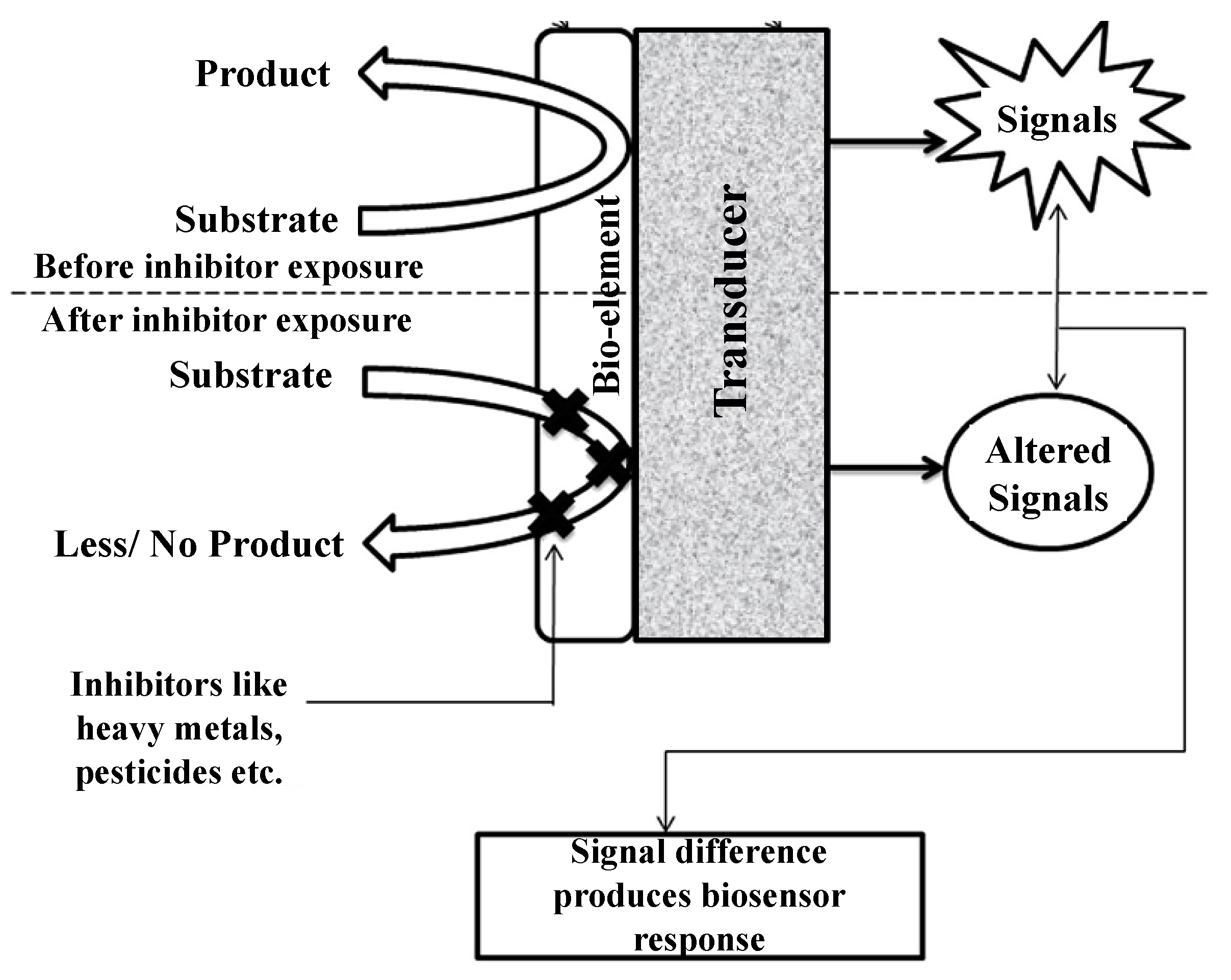 Environments 10 00063 g003 Environments 10 00063 g003