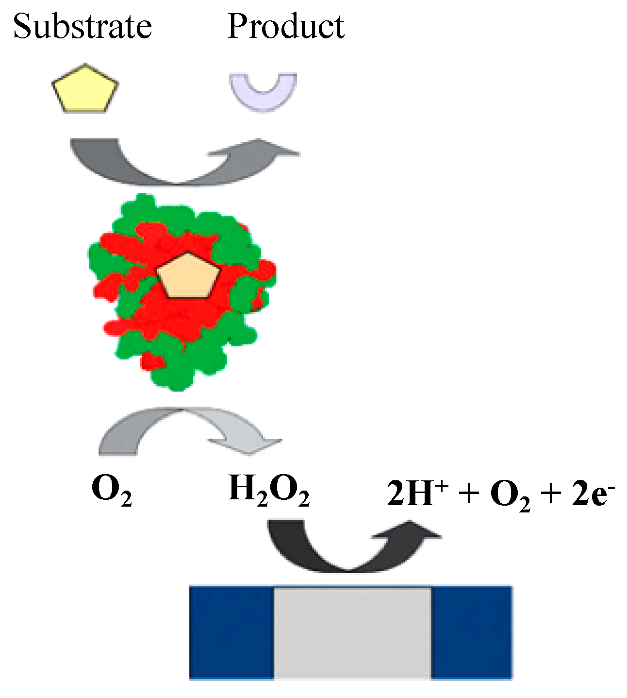 Environments 10 00063 g004 Environments 10 00063 g004