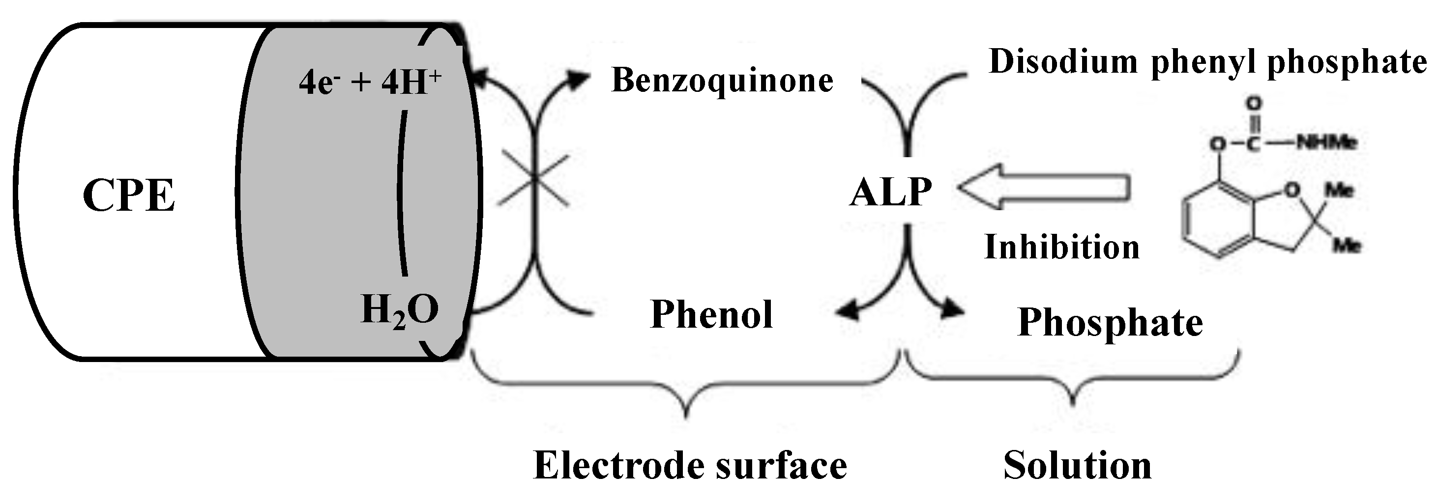 Environments 10 00063 g005 Environments 10 00063 g005