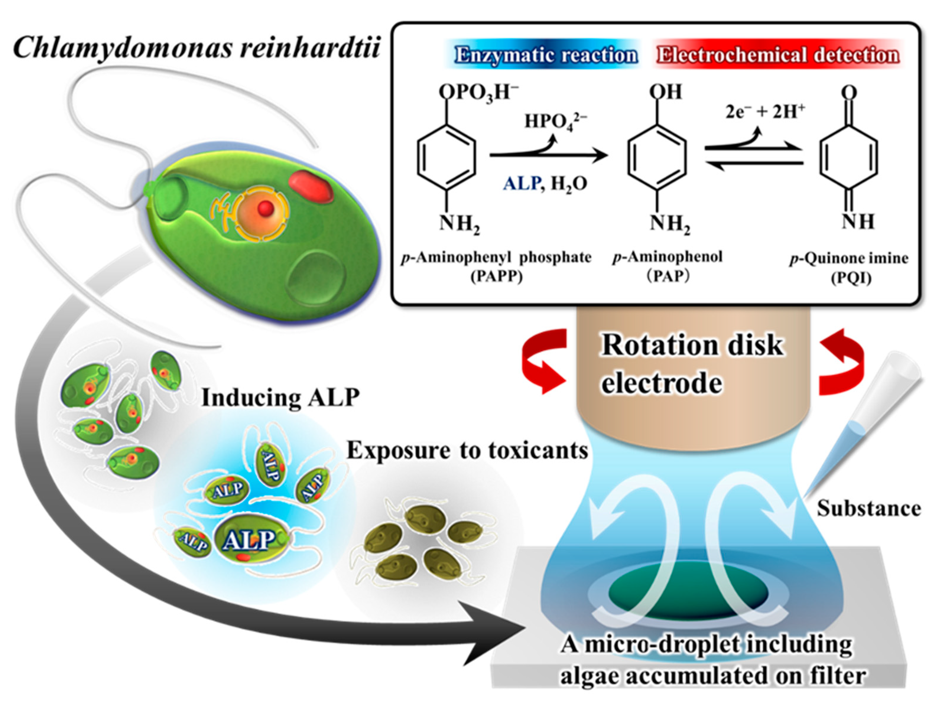 Environments 10 00063 g008 Environments 10 00063 g008