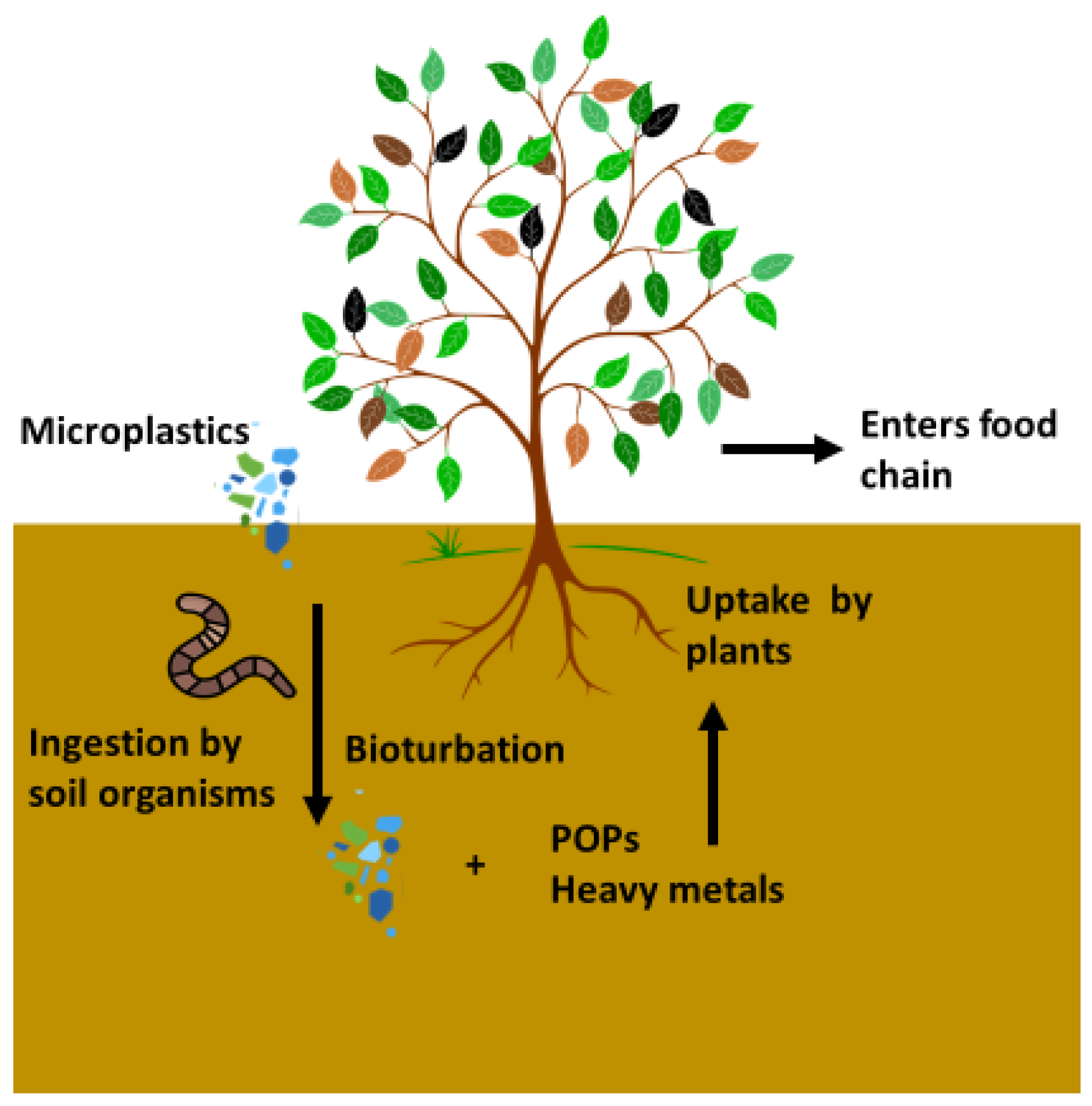 Environments 10 00070 g002