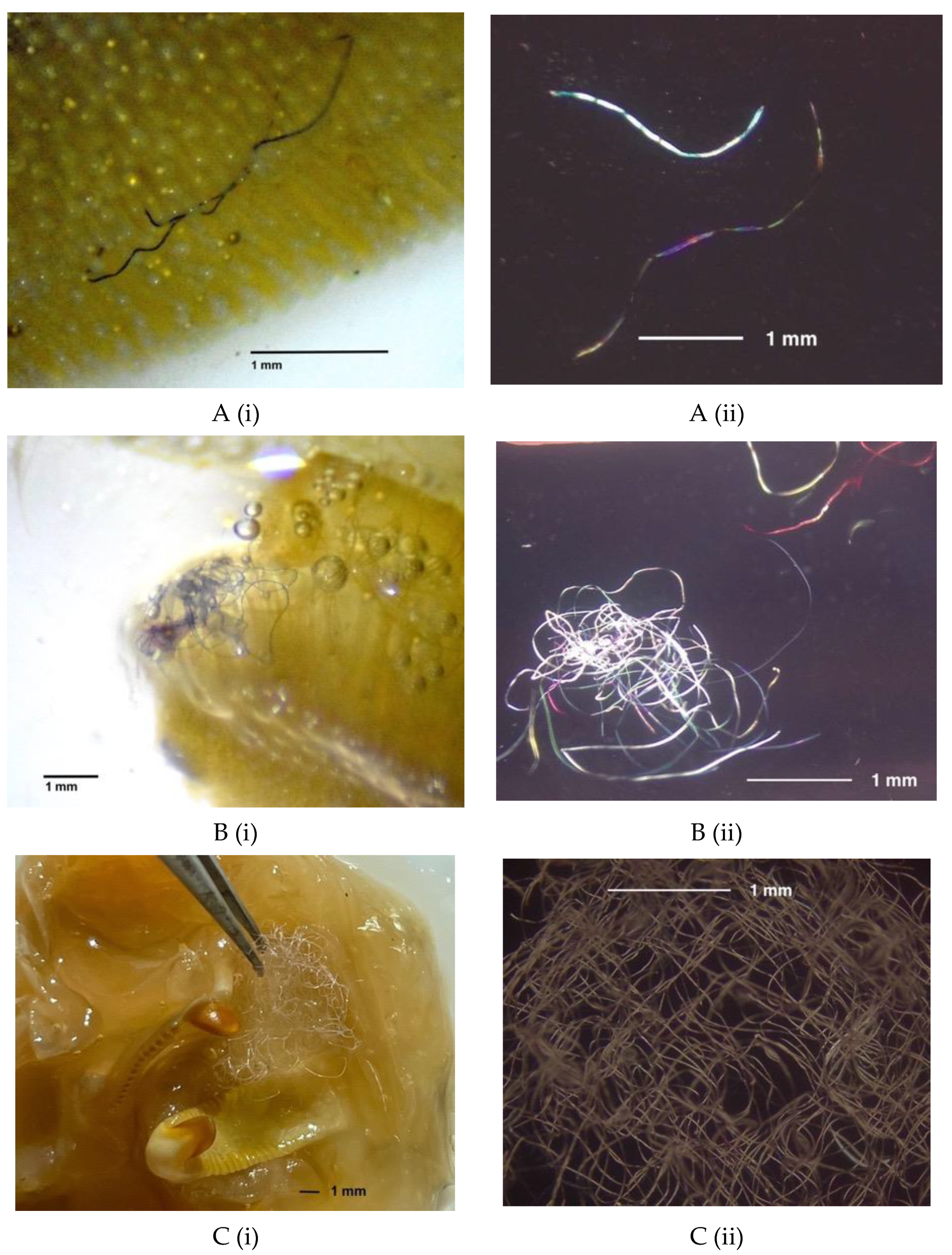 Environments 10 00091 g003 Environments 10 00091 g003