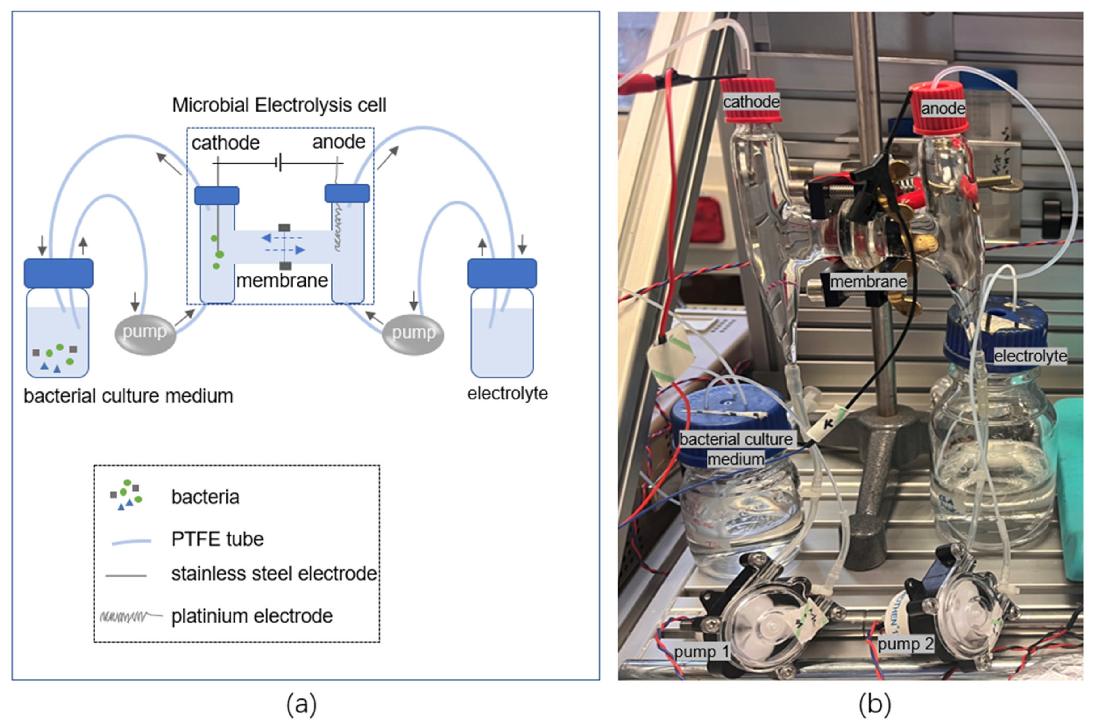 Environments 10 00097 g001 Environments 10 00097 g001
