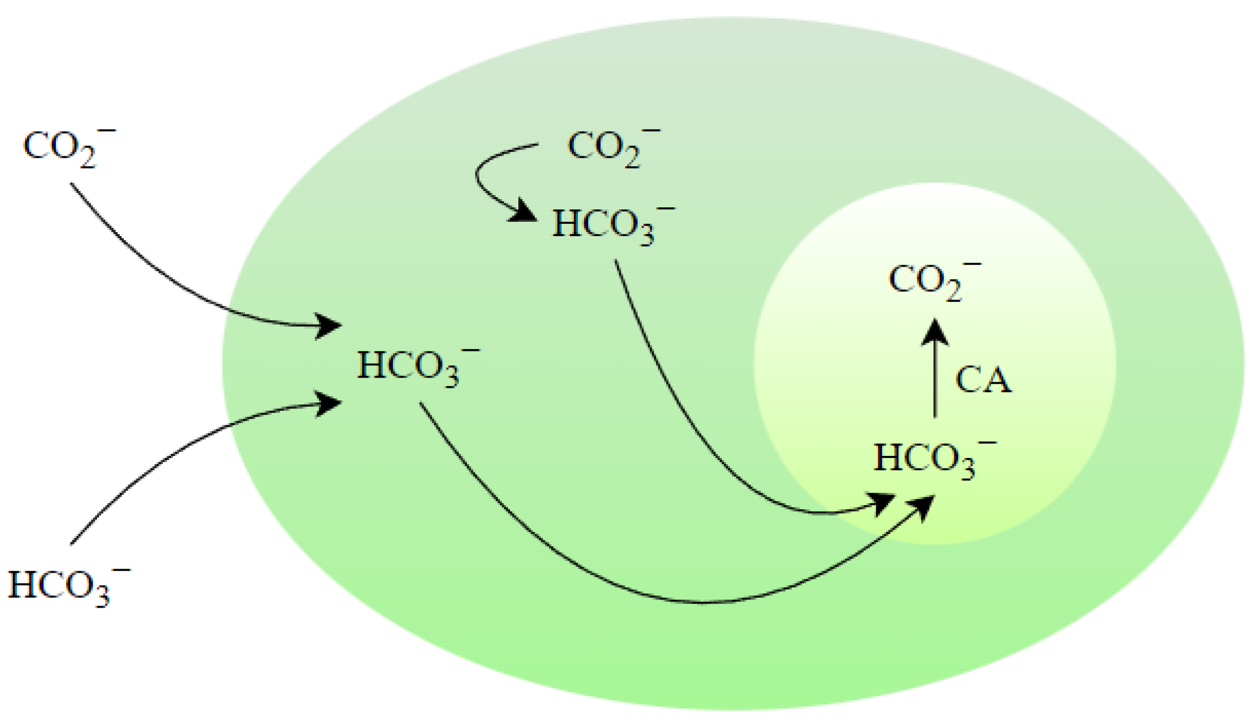 Environments Free FullText Carbon Dioxide Utilization Using
