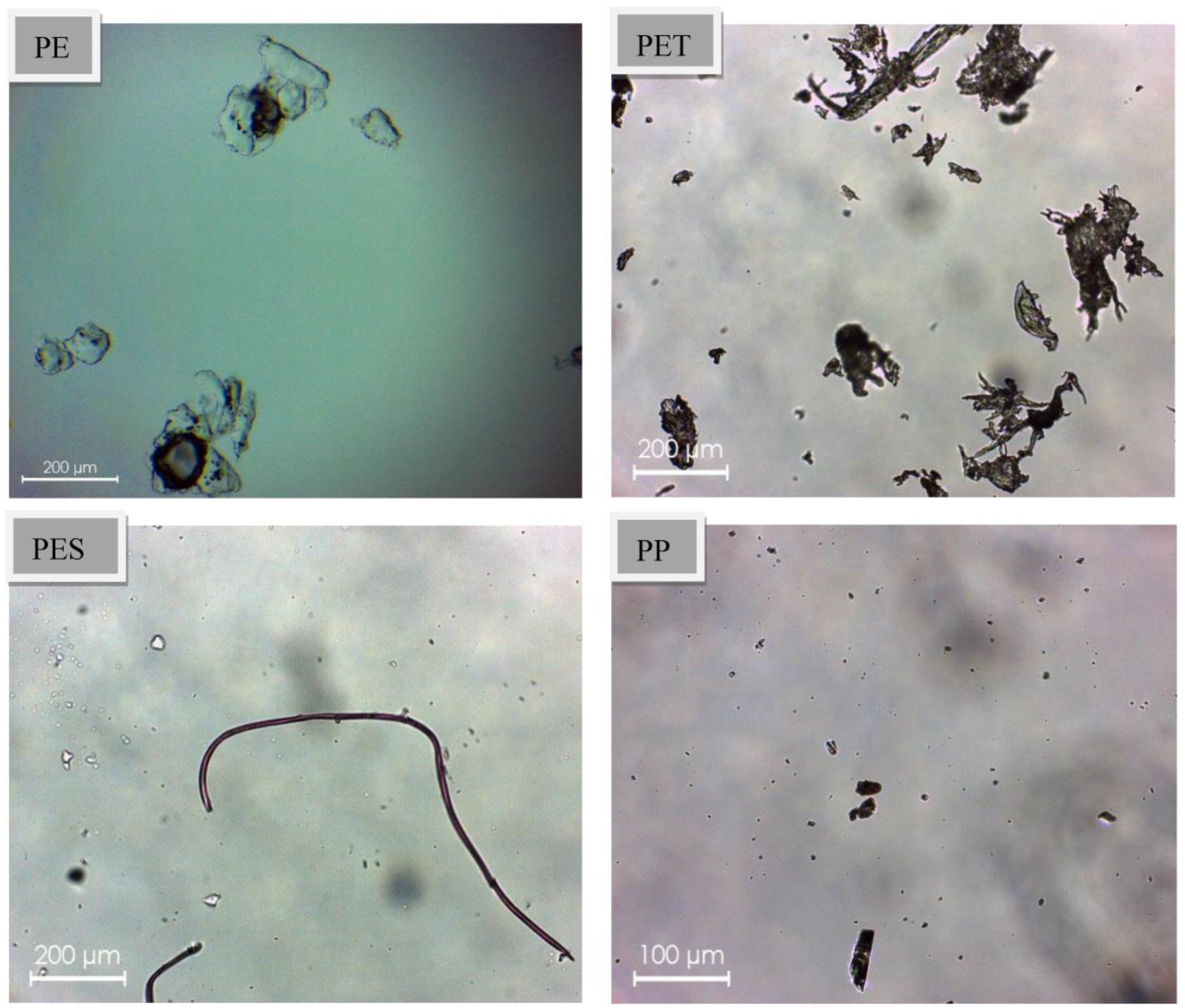 Environments 10 00115 g002 Environments 10 00115 g002