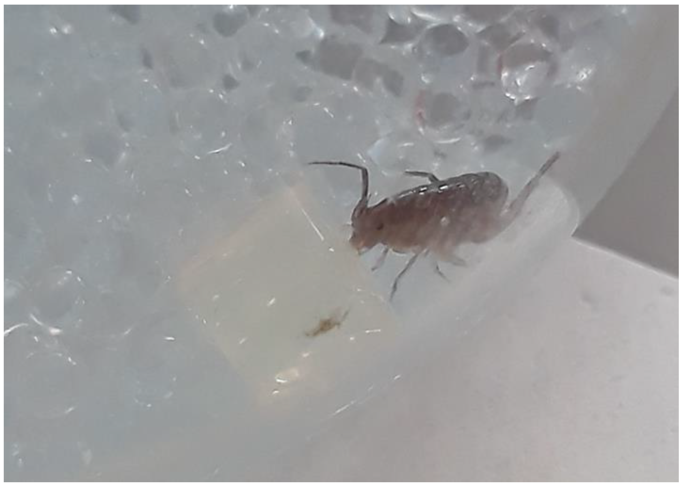 Environments 10 00115 g003 Environments 10 00115 g003