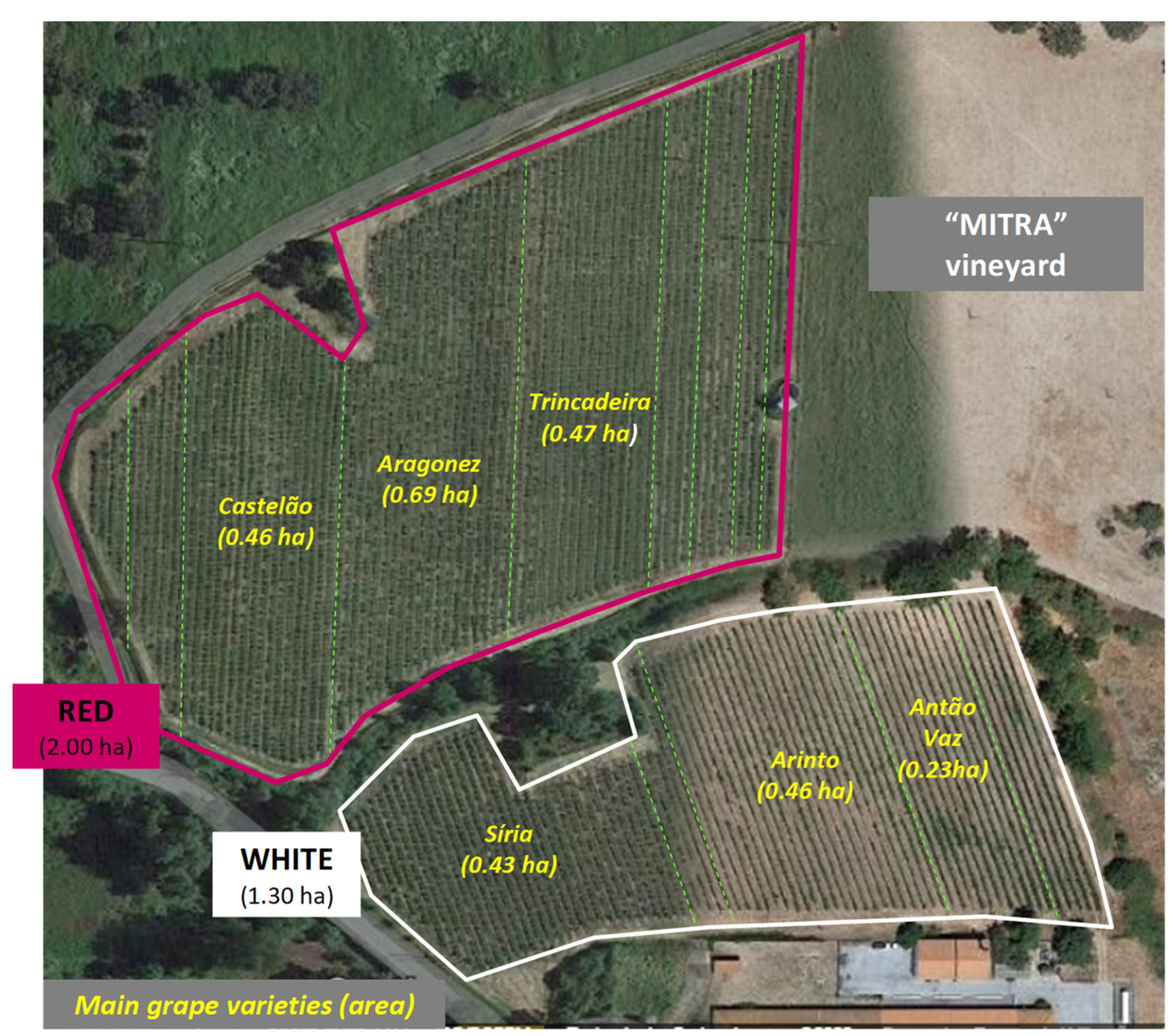 Environments 10 00117 g002 Environments 10 00117 g002