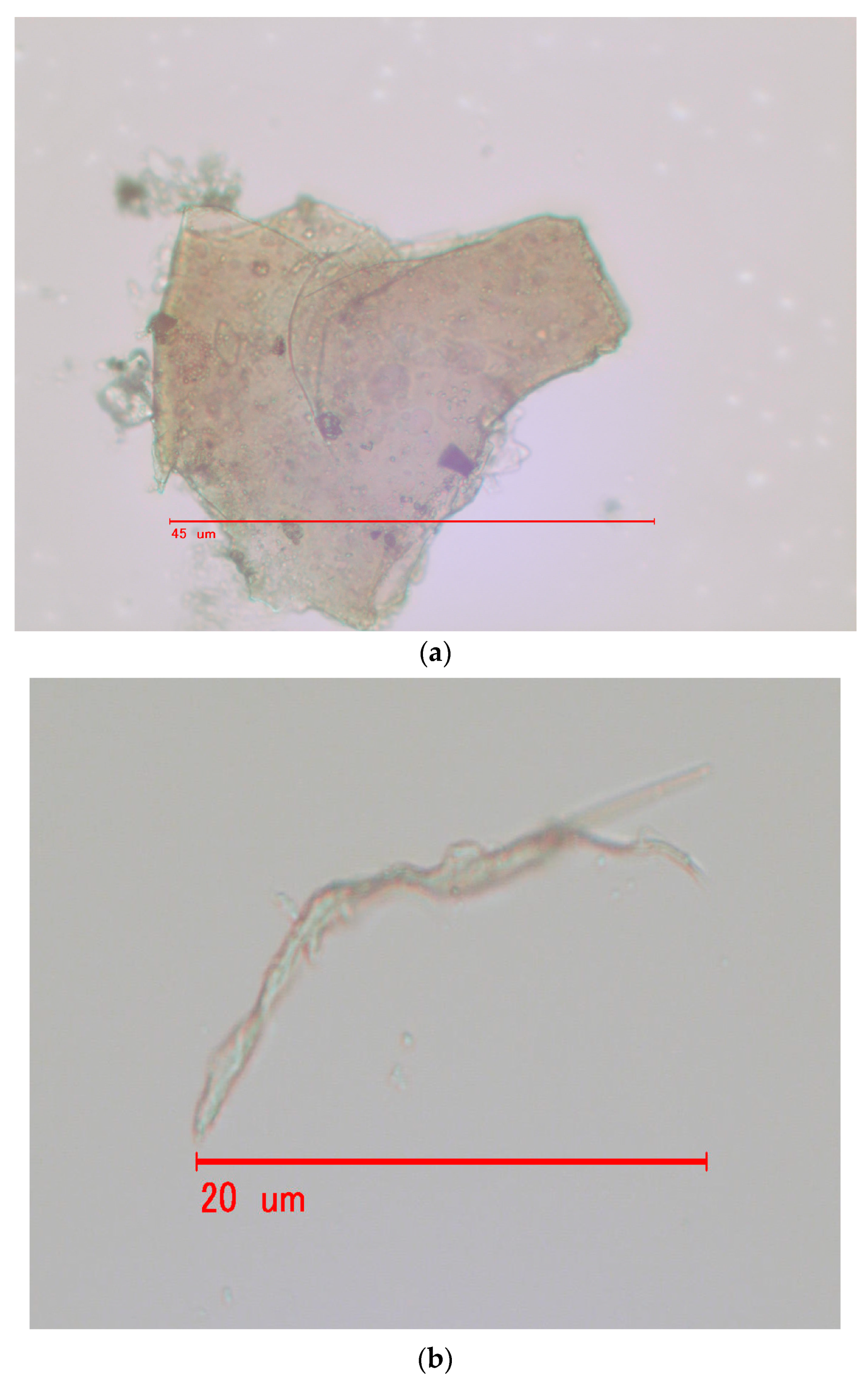 Environments 10 00130 g004a