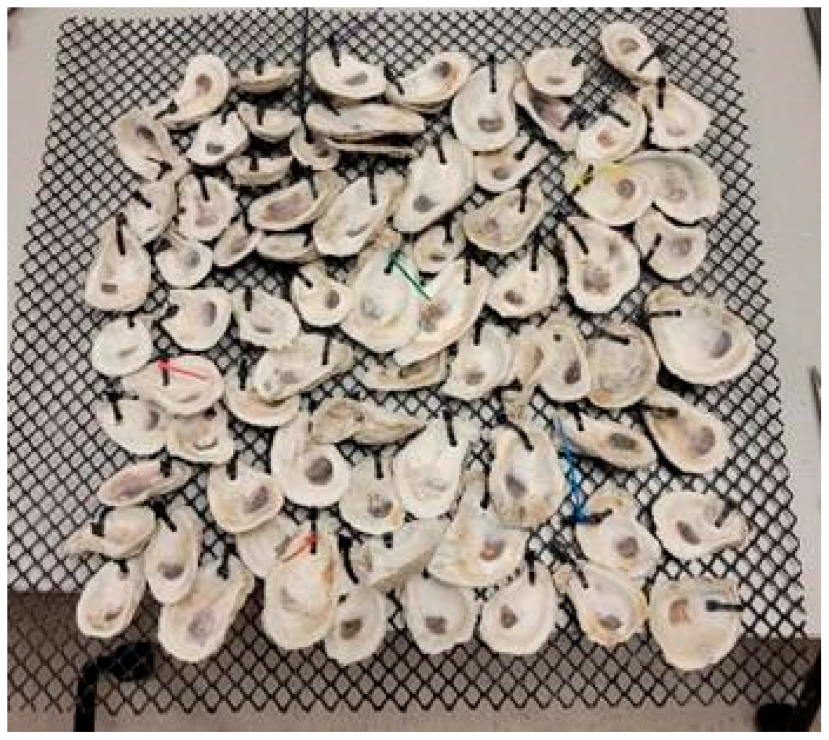 Environments 10 00138 g002