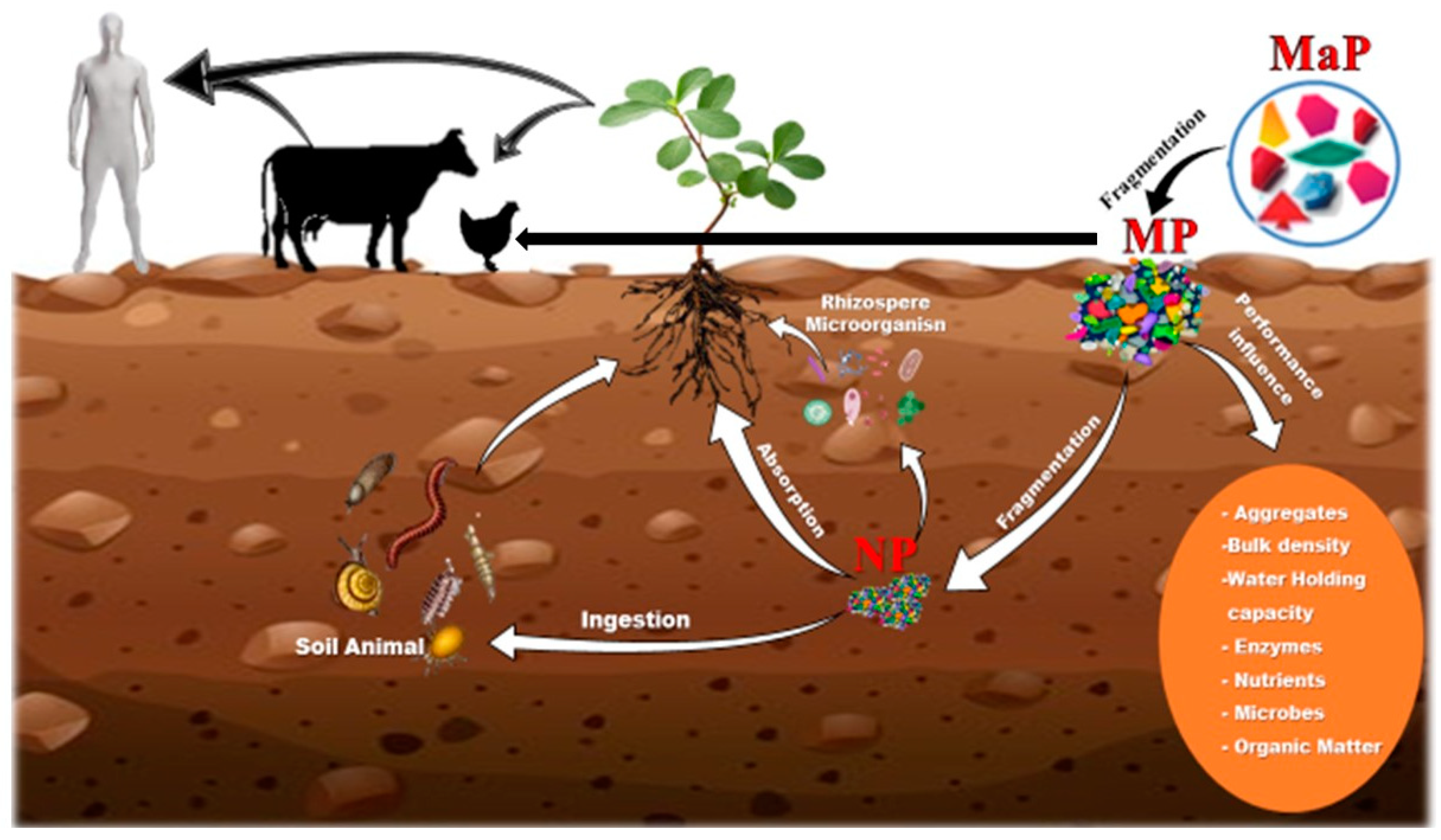 Environments 10 00179 g007