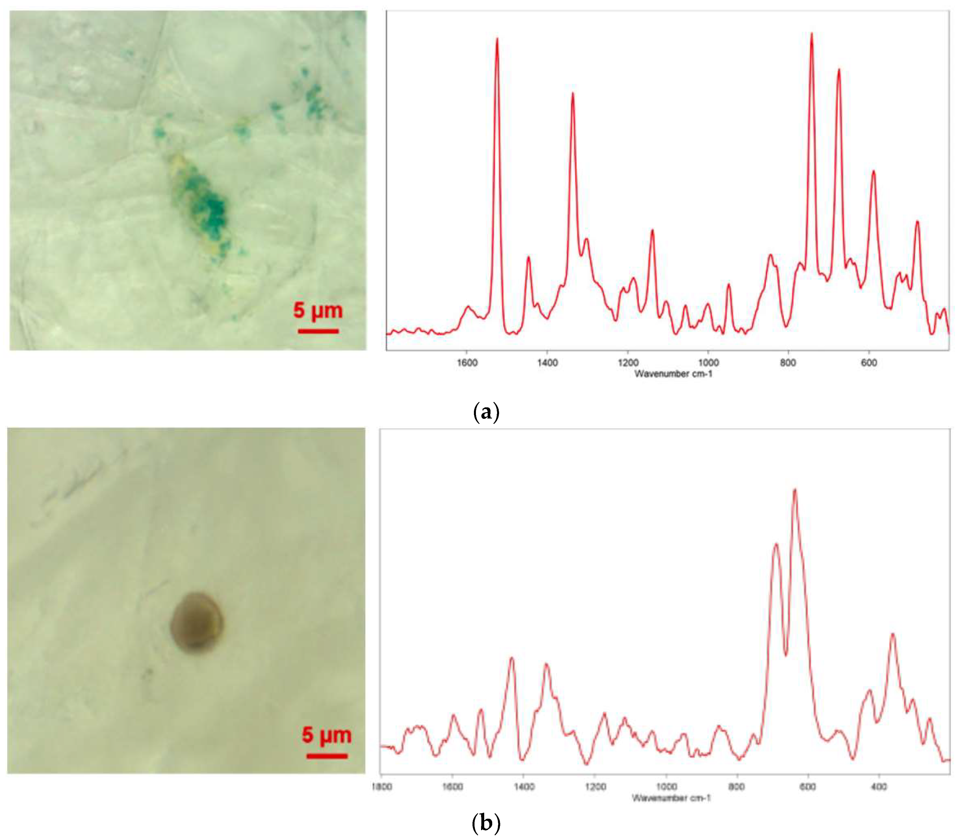 Environments 10 00194 g002