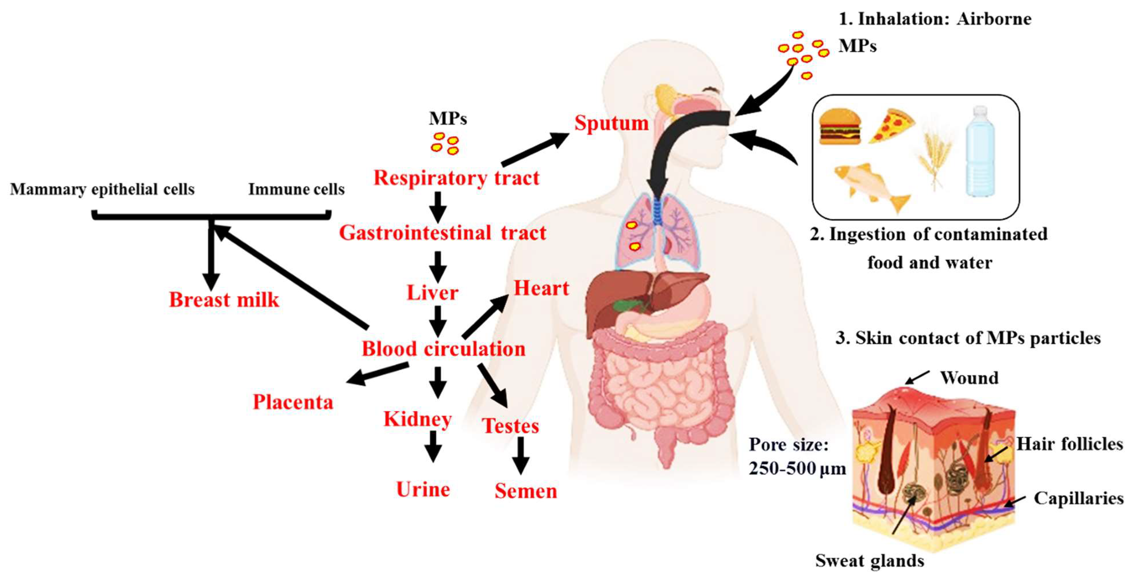 Environments 10 00194 g003