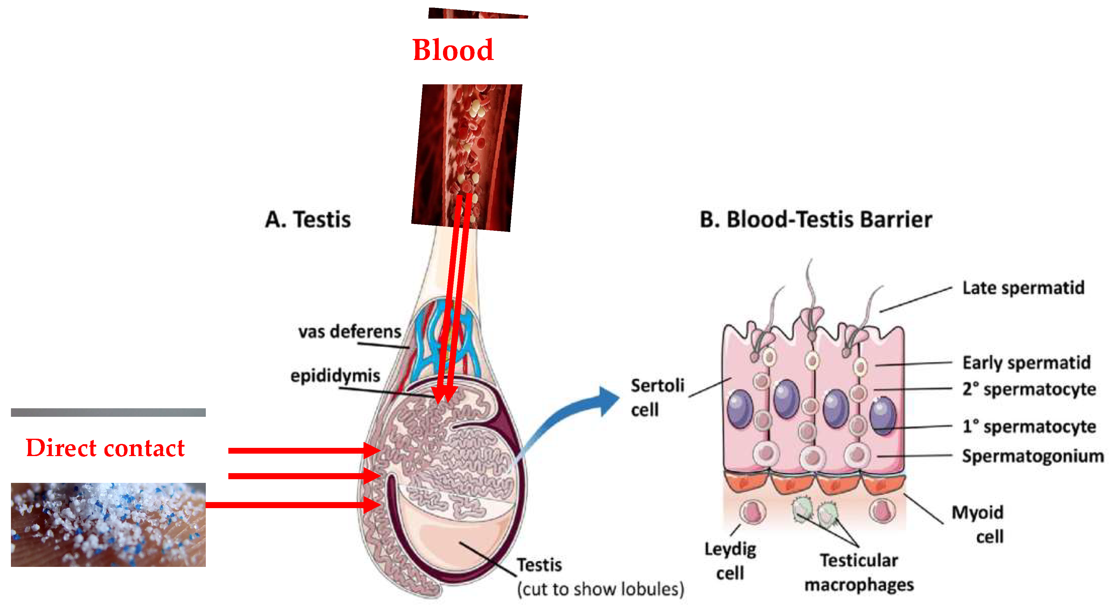 Environments 10 00194 g004