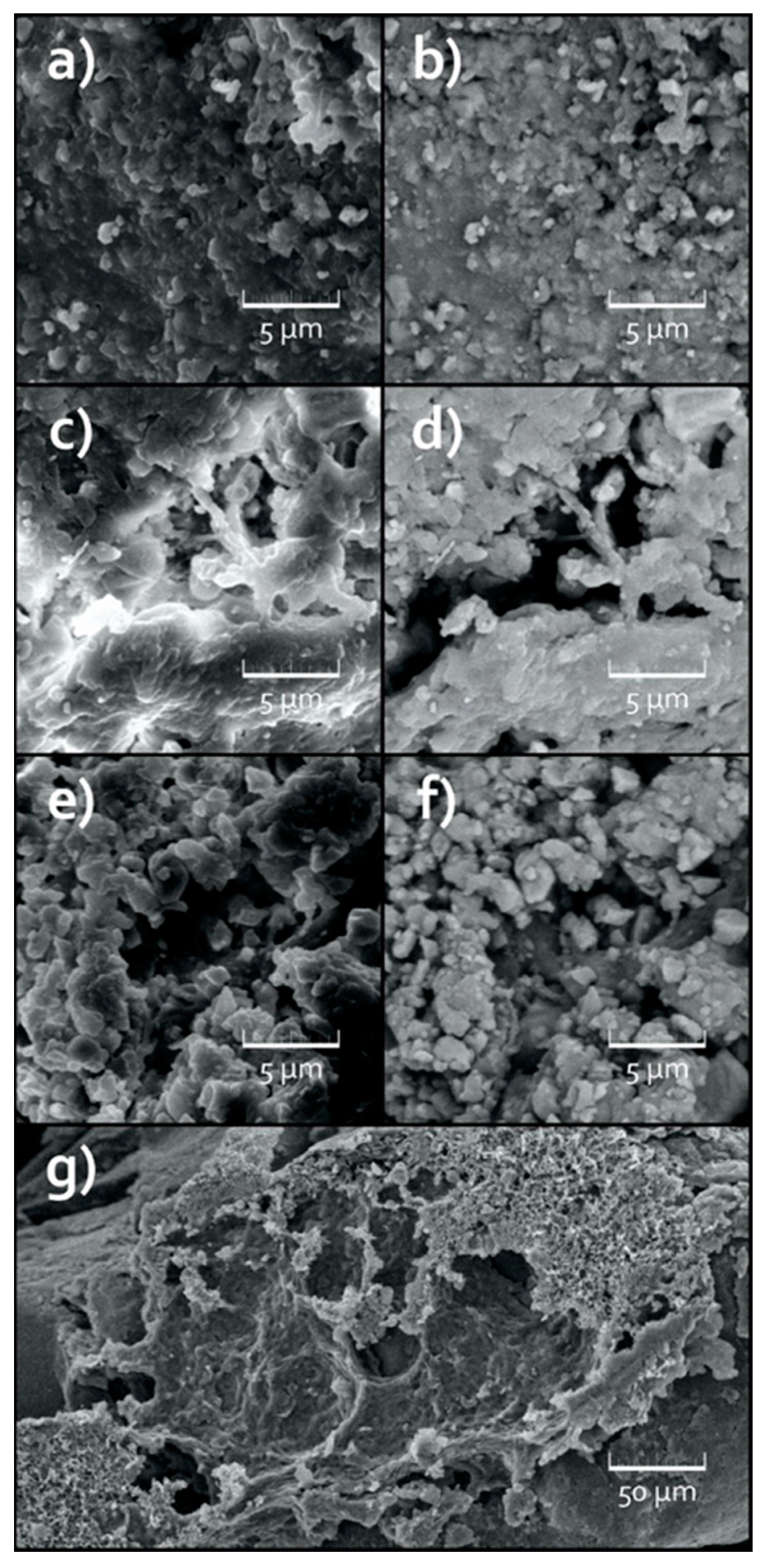 Environments 10 00207 g009