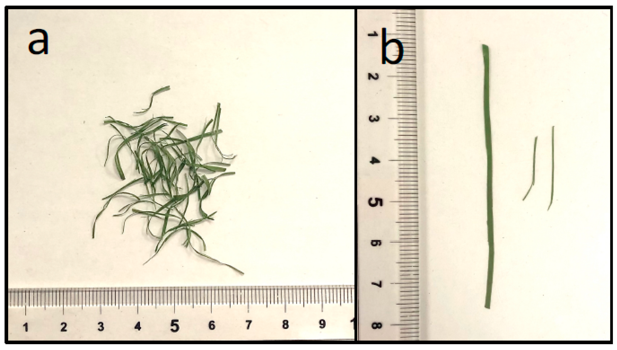 Environments 10 00222 g003