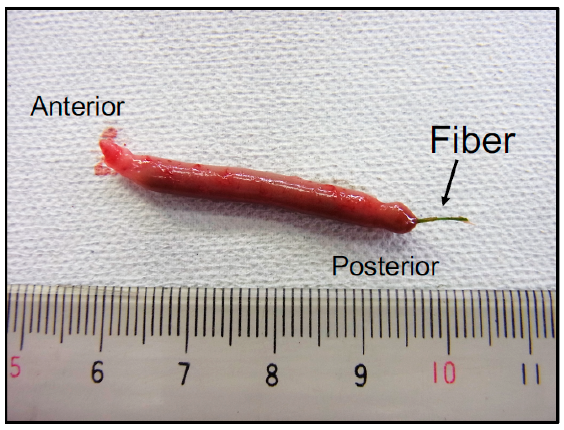 Environments 10 00222 g008