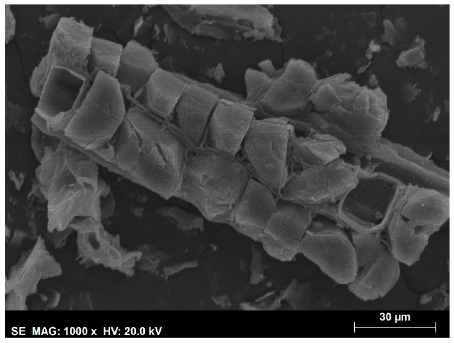 Environments 11 00002 g003