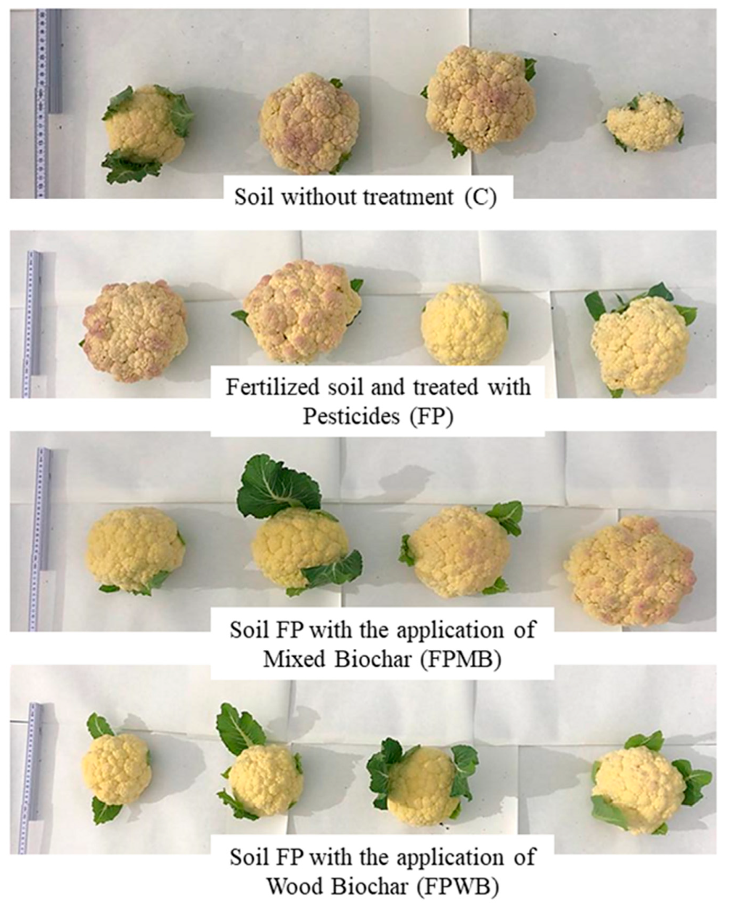 Environments 11 00013 g005