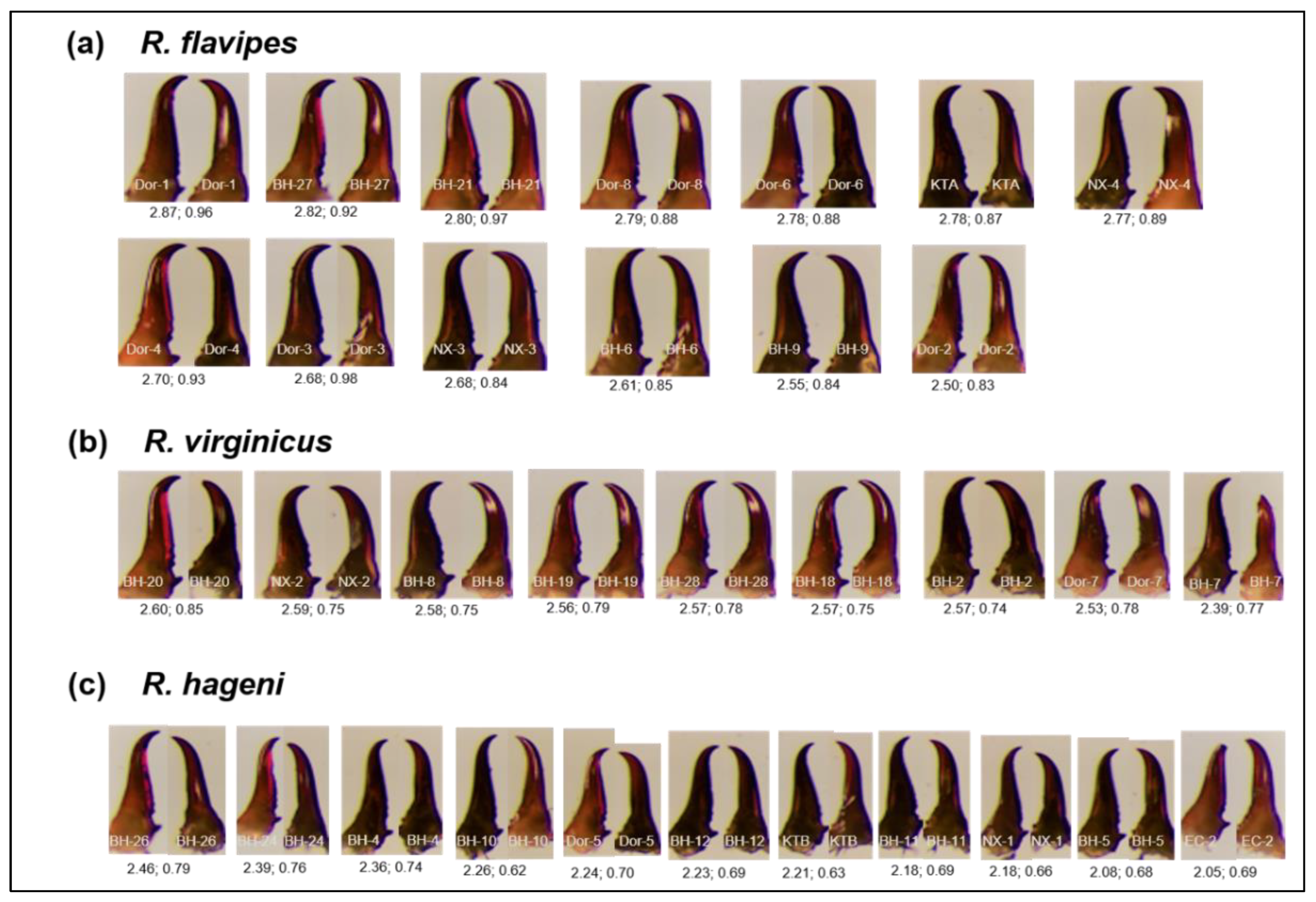 Environments 11 00015 g001