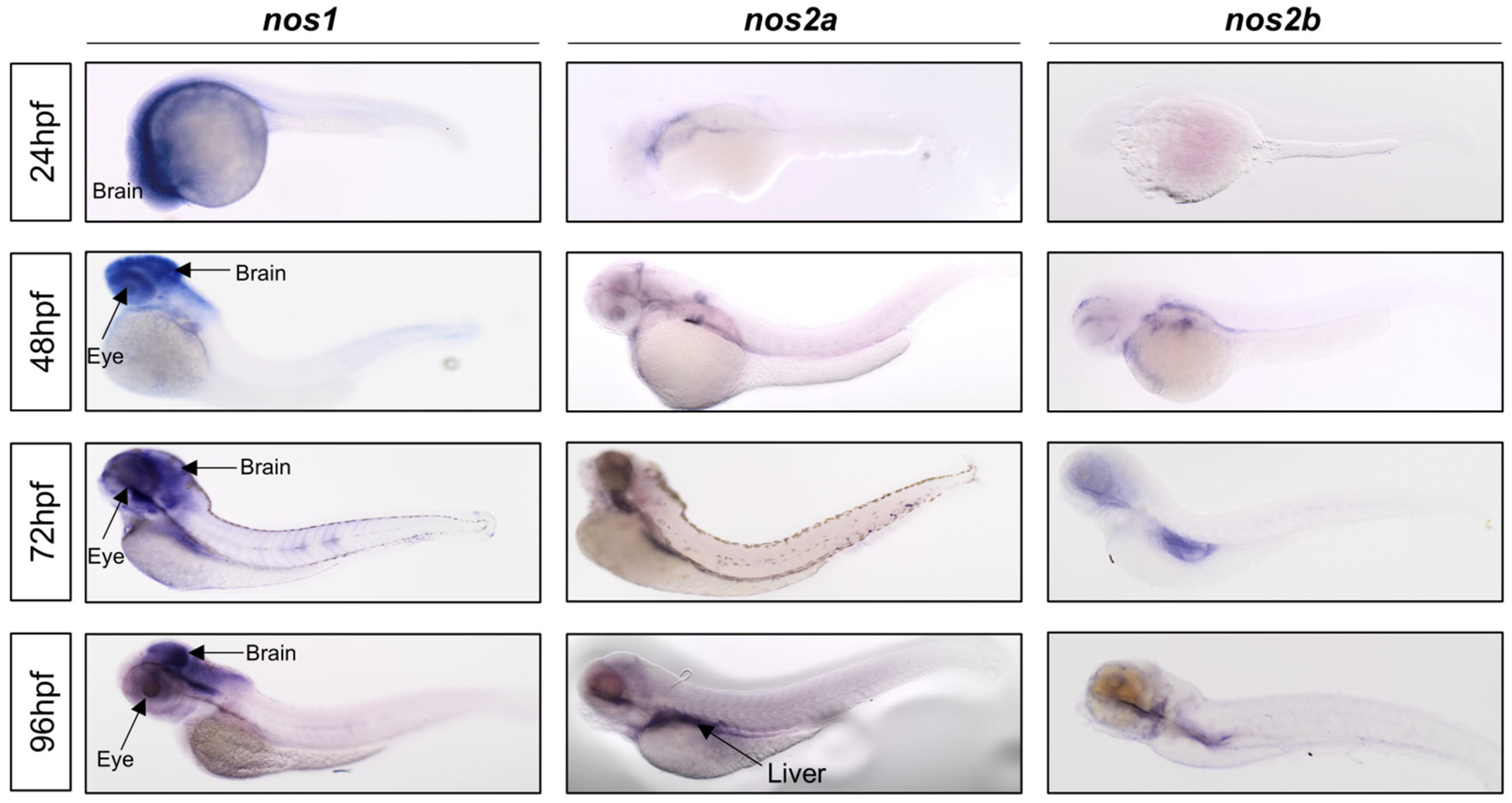 Environments 11 00041 g002