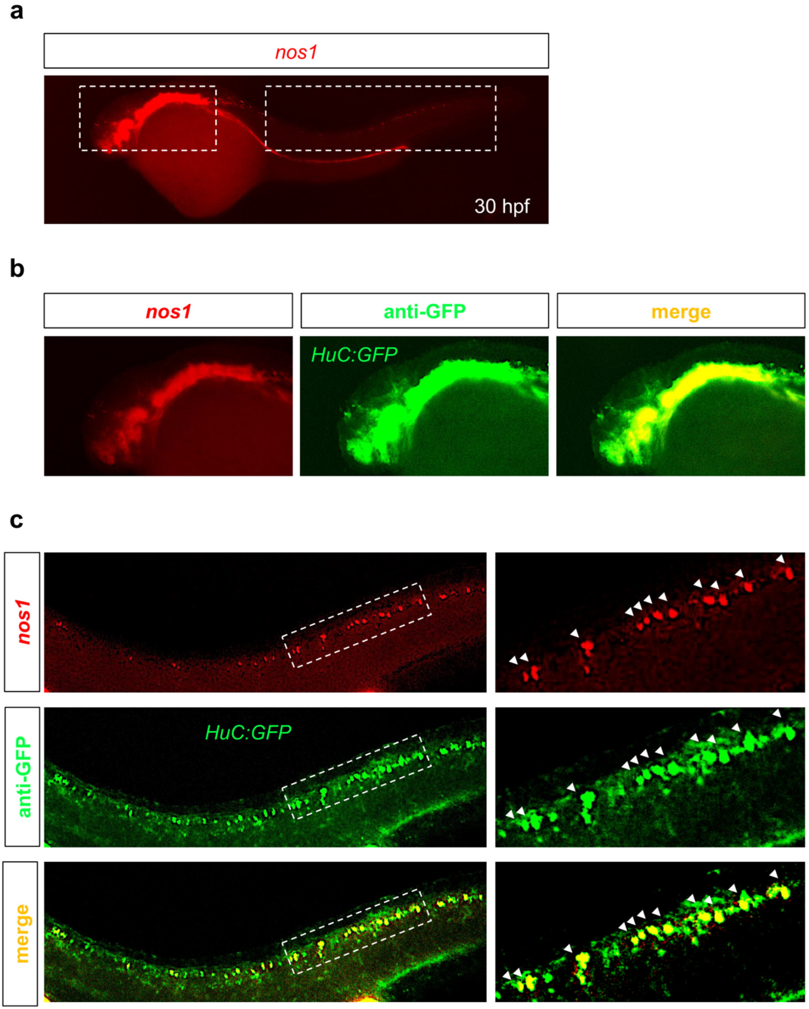 Environments 11 00041 g003