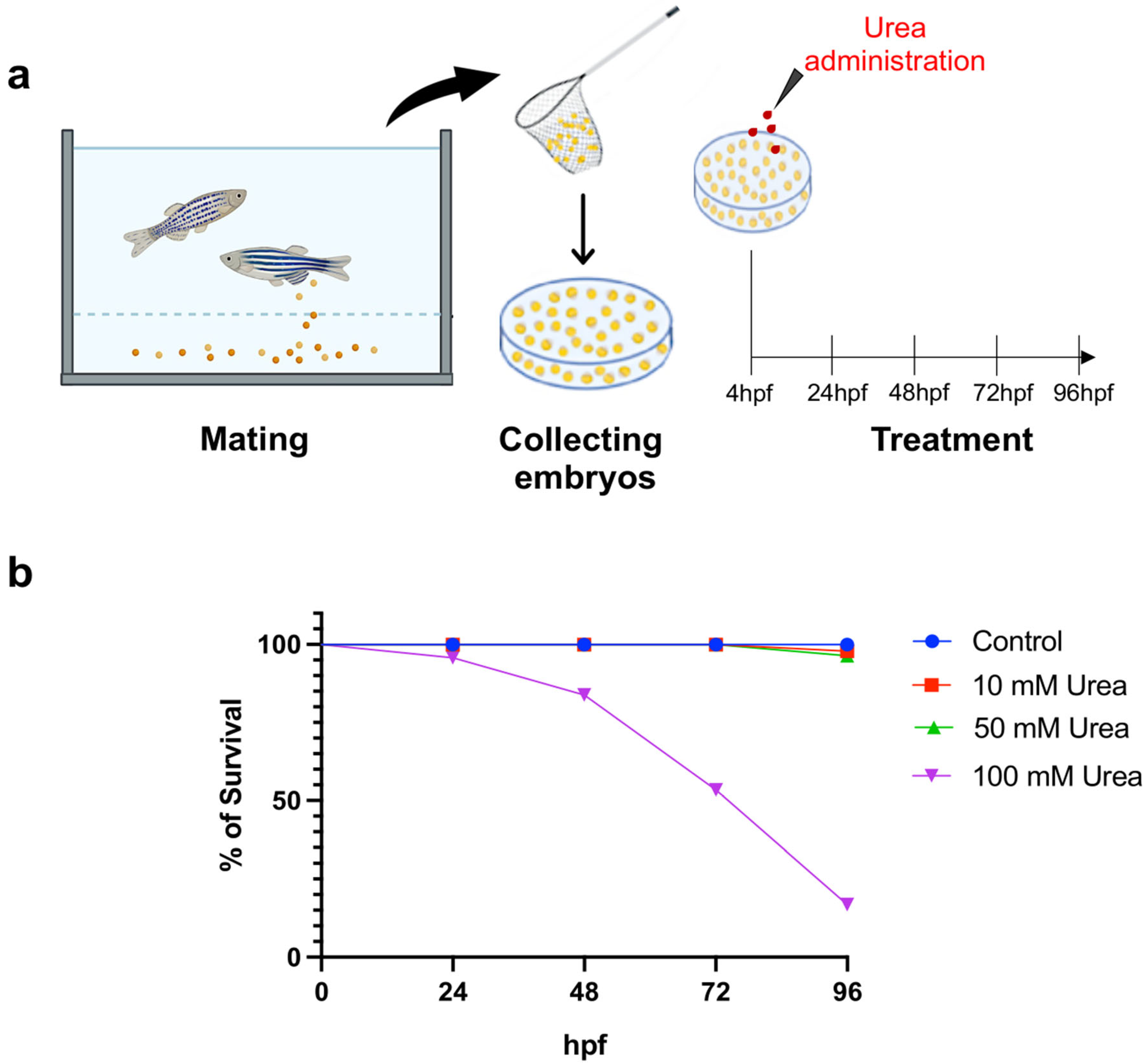 Environments 11 00041 g004