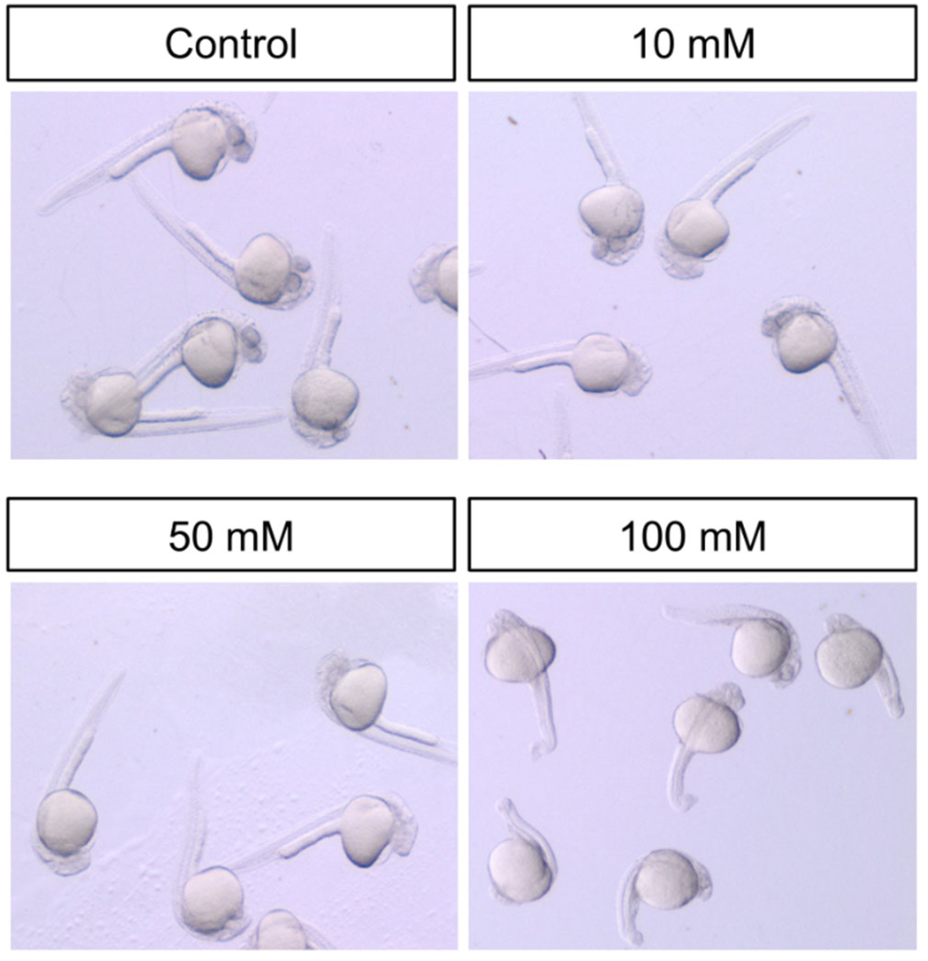 Environments 11 00041 g005