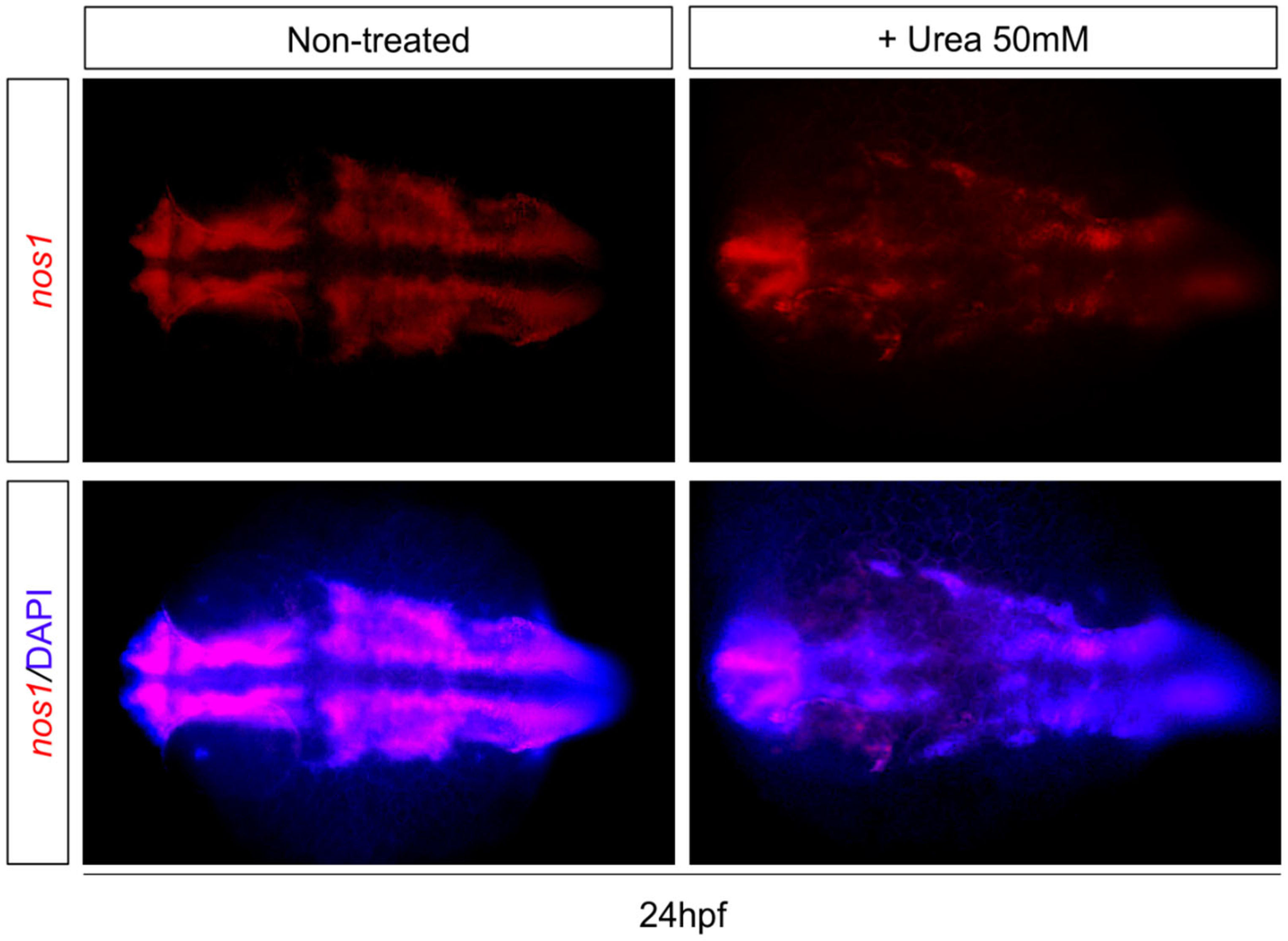 Environments 11 00041 g006