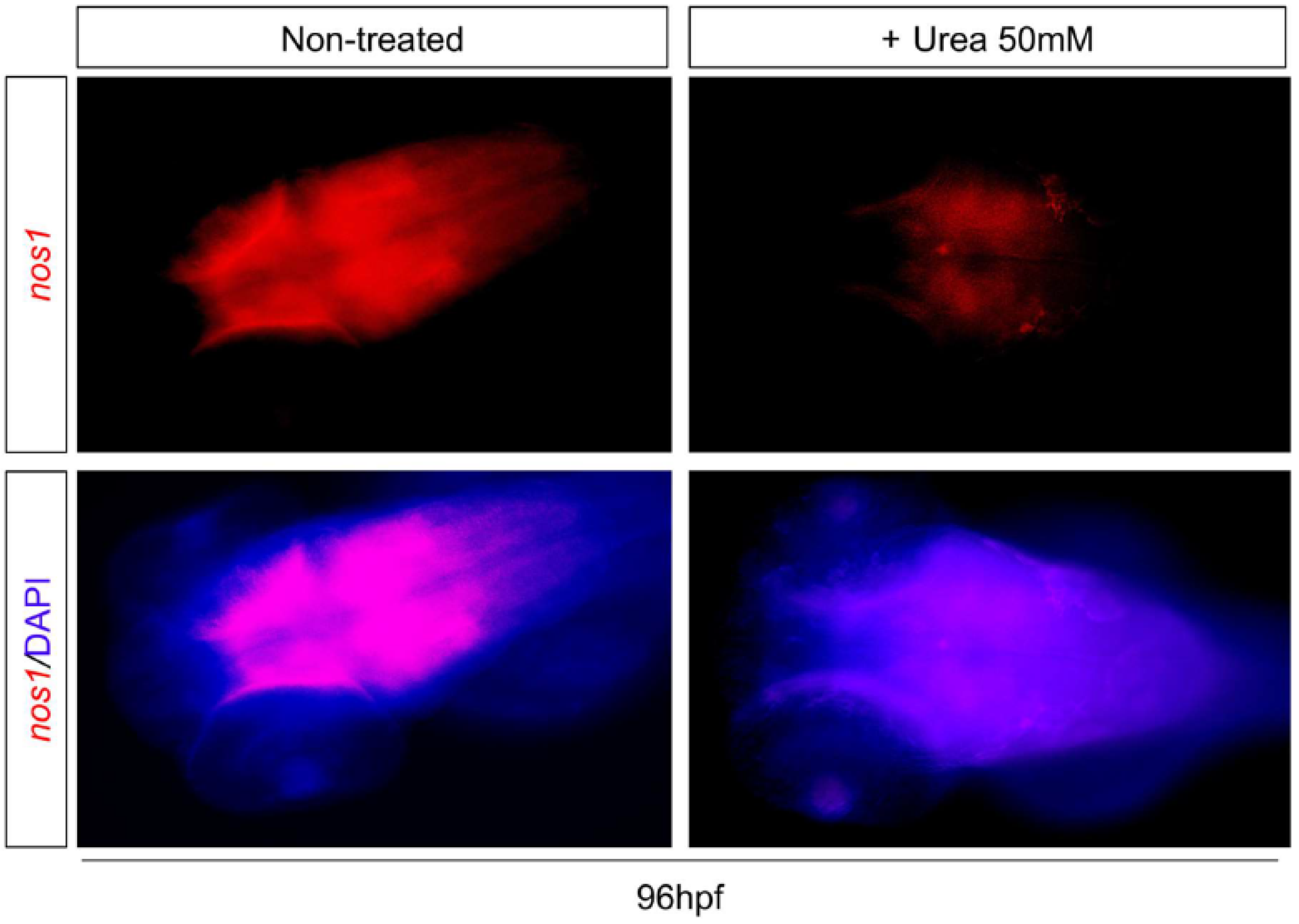 Environments 11 00041 g008