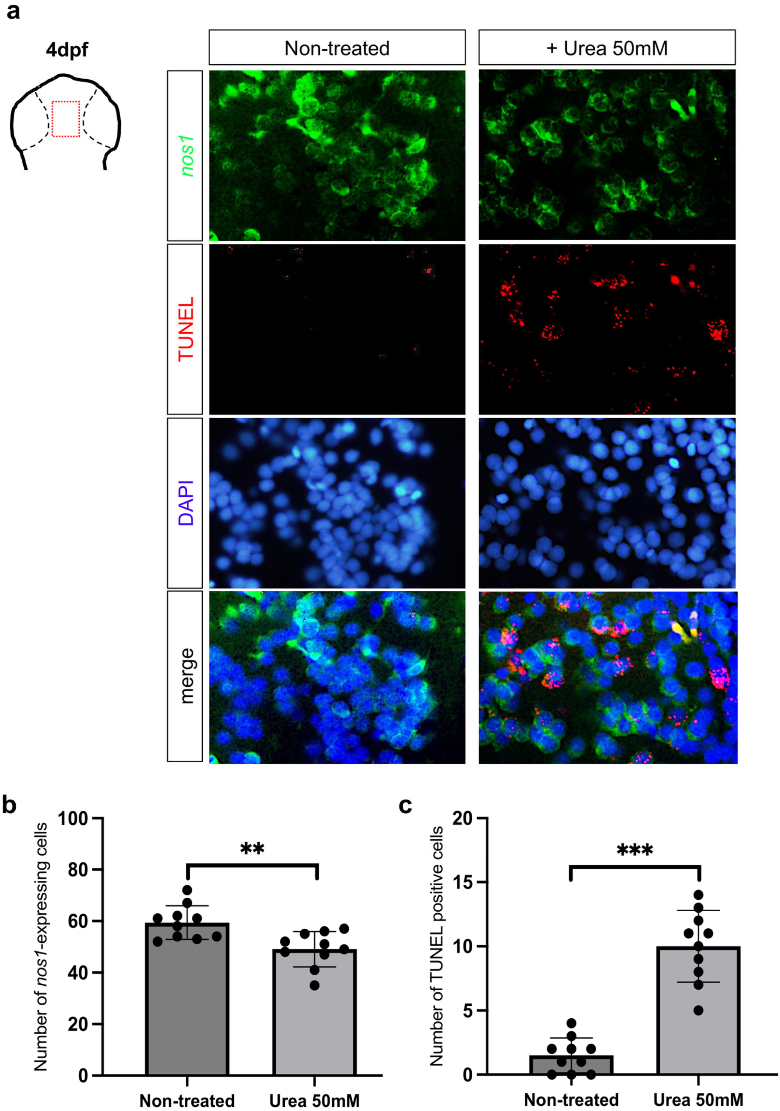 Environments 11 00041 g009