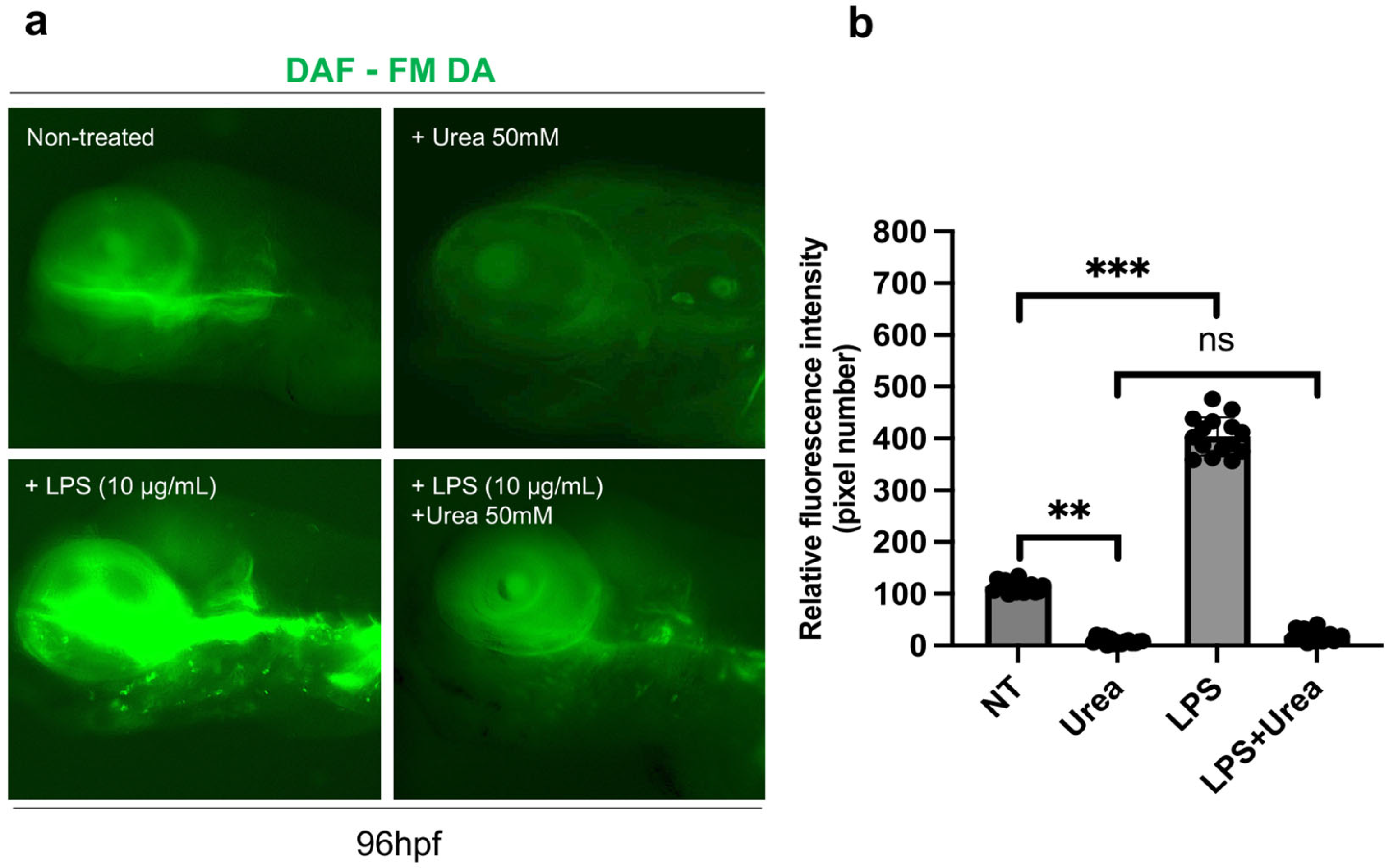 Environments 11 00041 g010