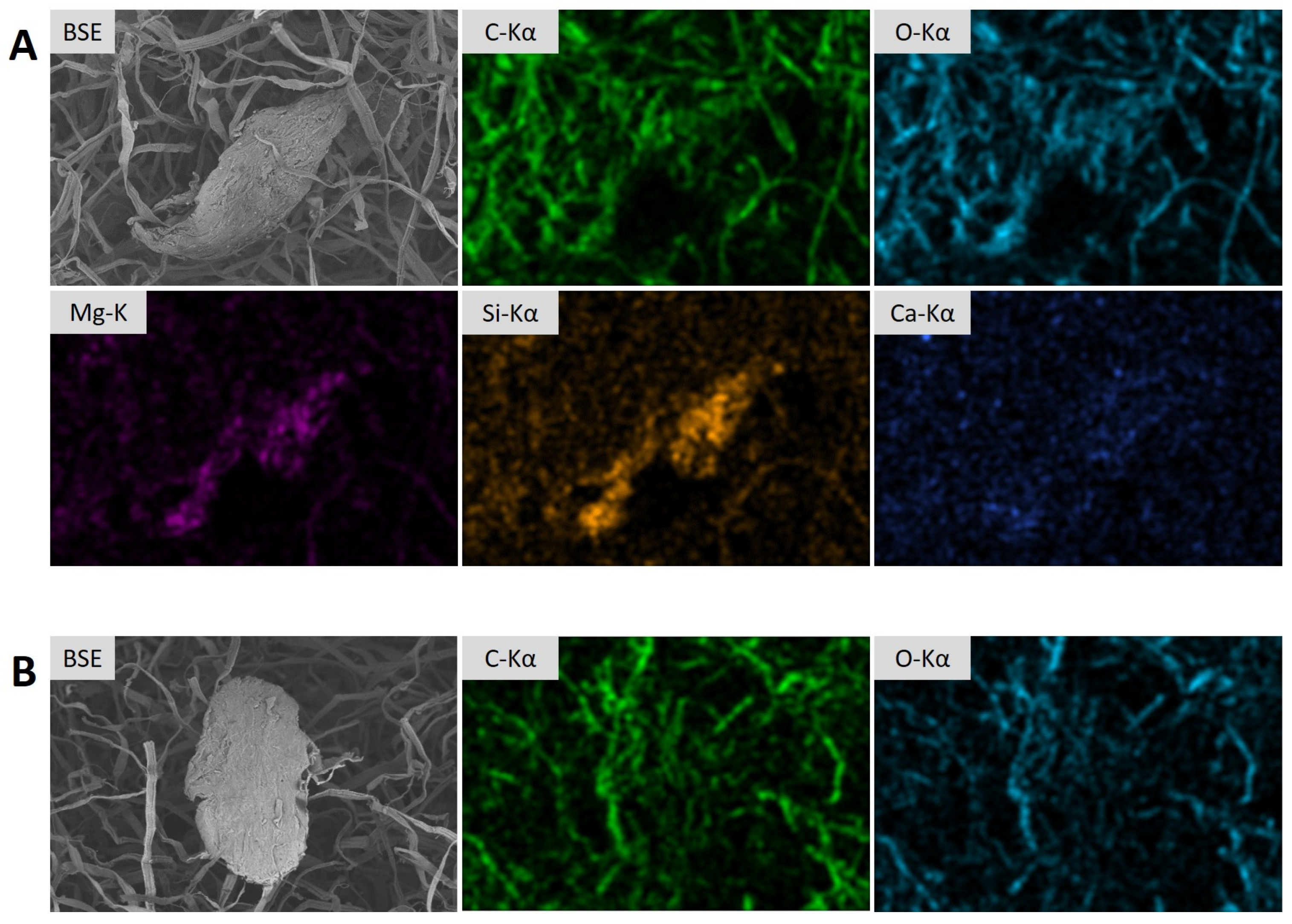 Environments 11 00050 g004