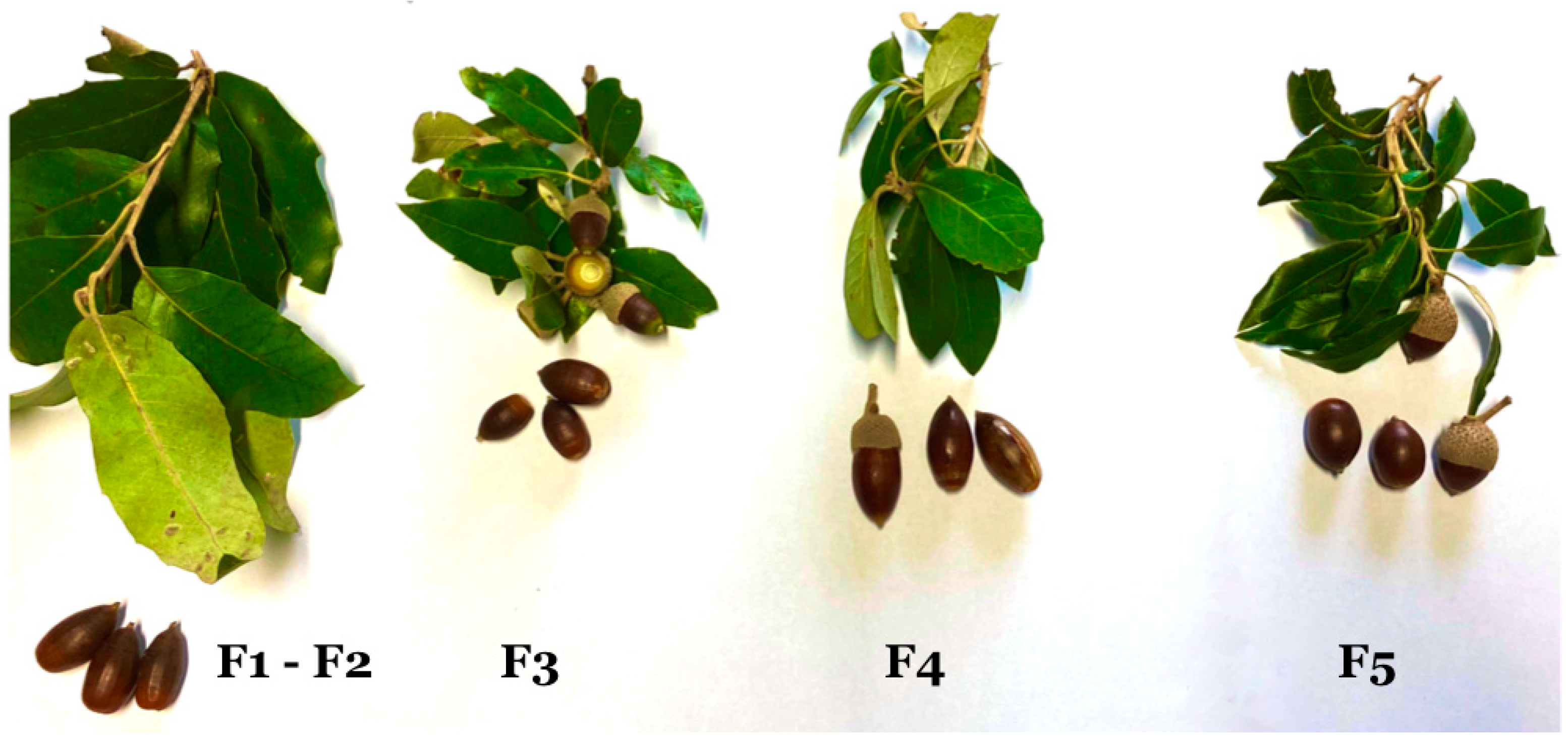 Environments 11 00059 g004