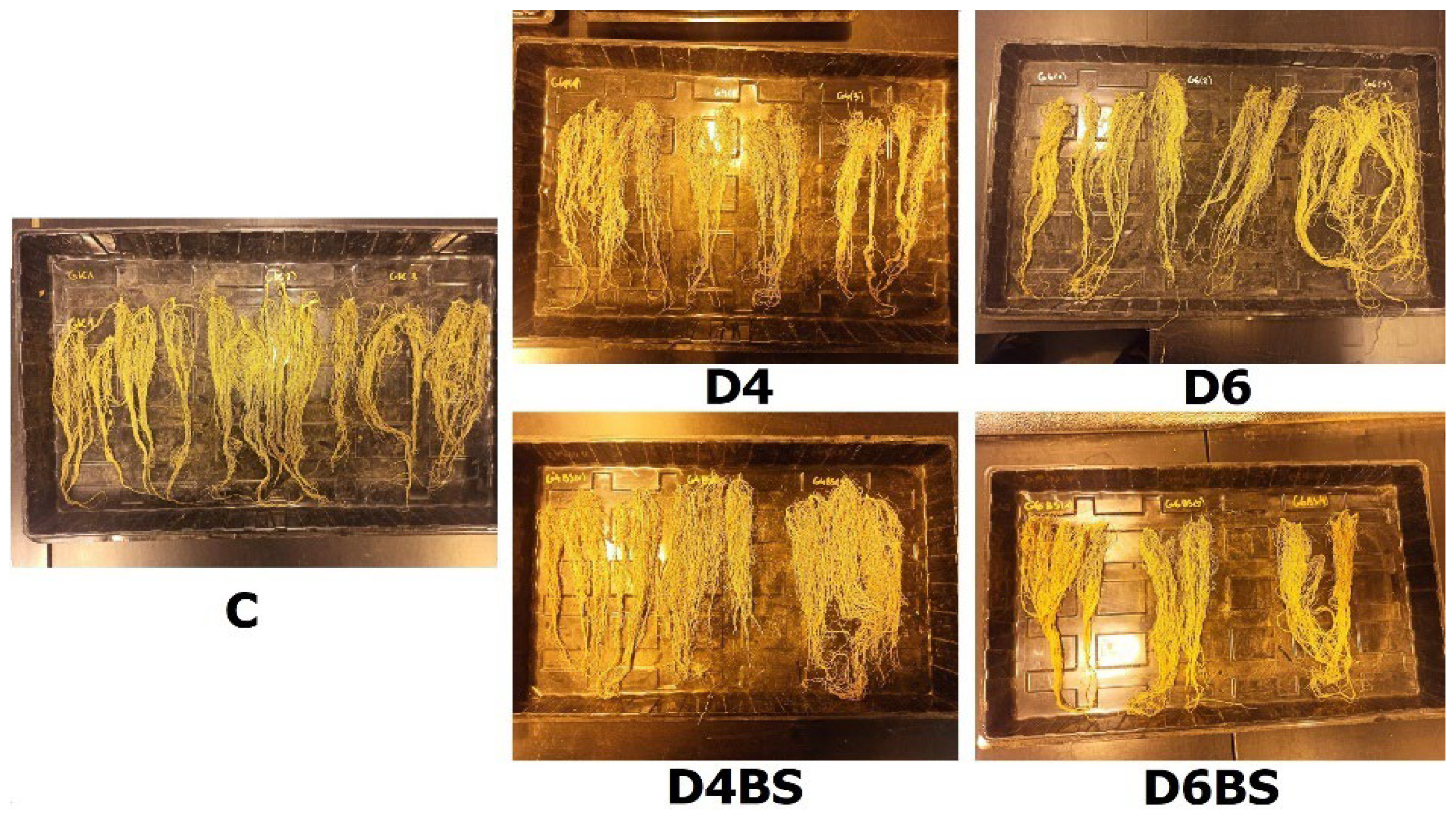 Environments 11 00064 g002