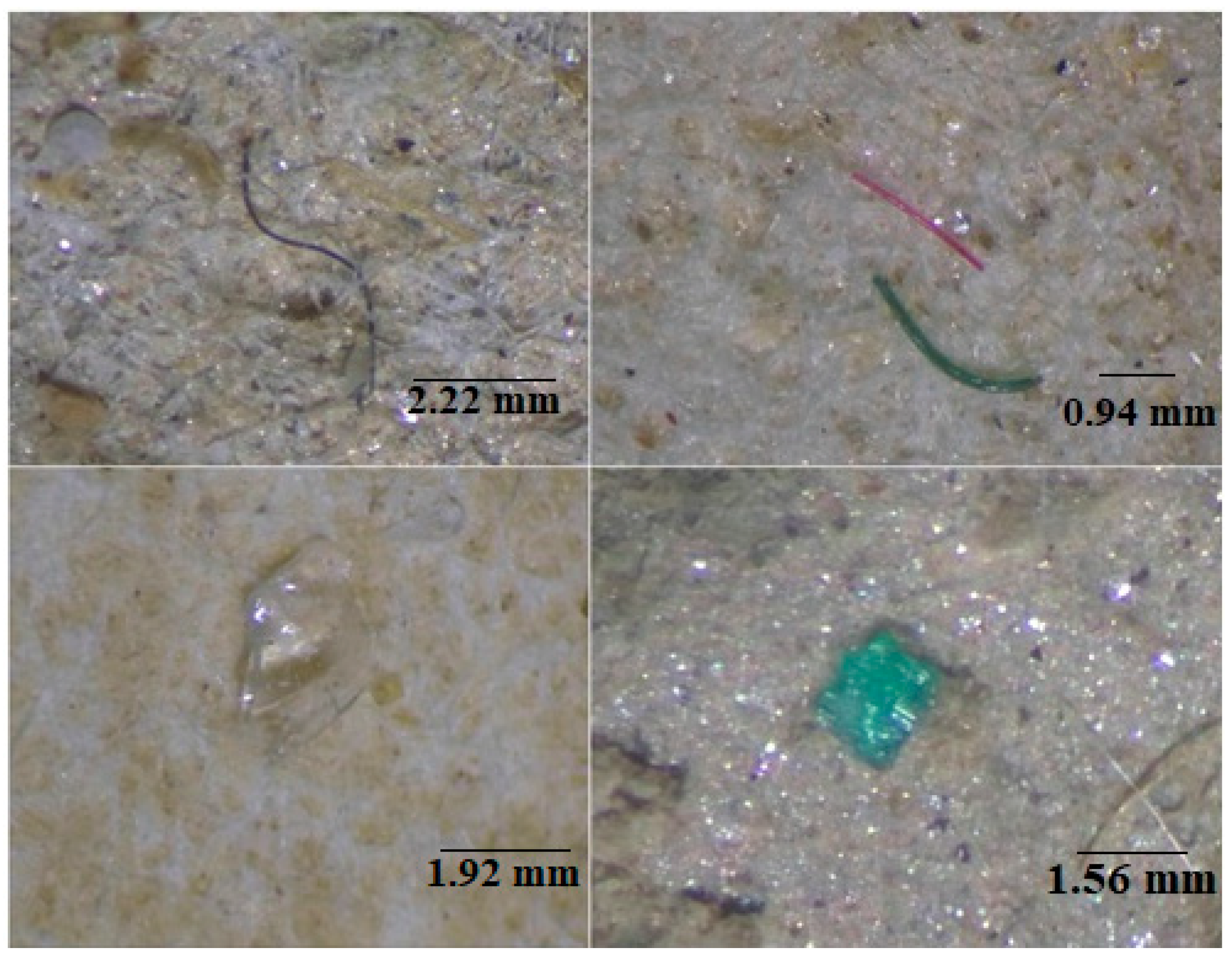 Environments 11 00083 g002