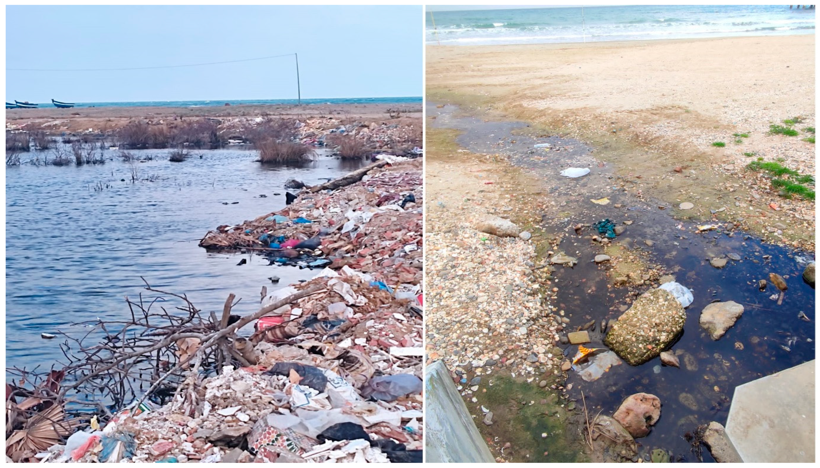 Environments 11 00083 g008