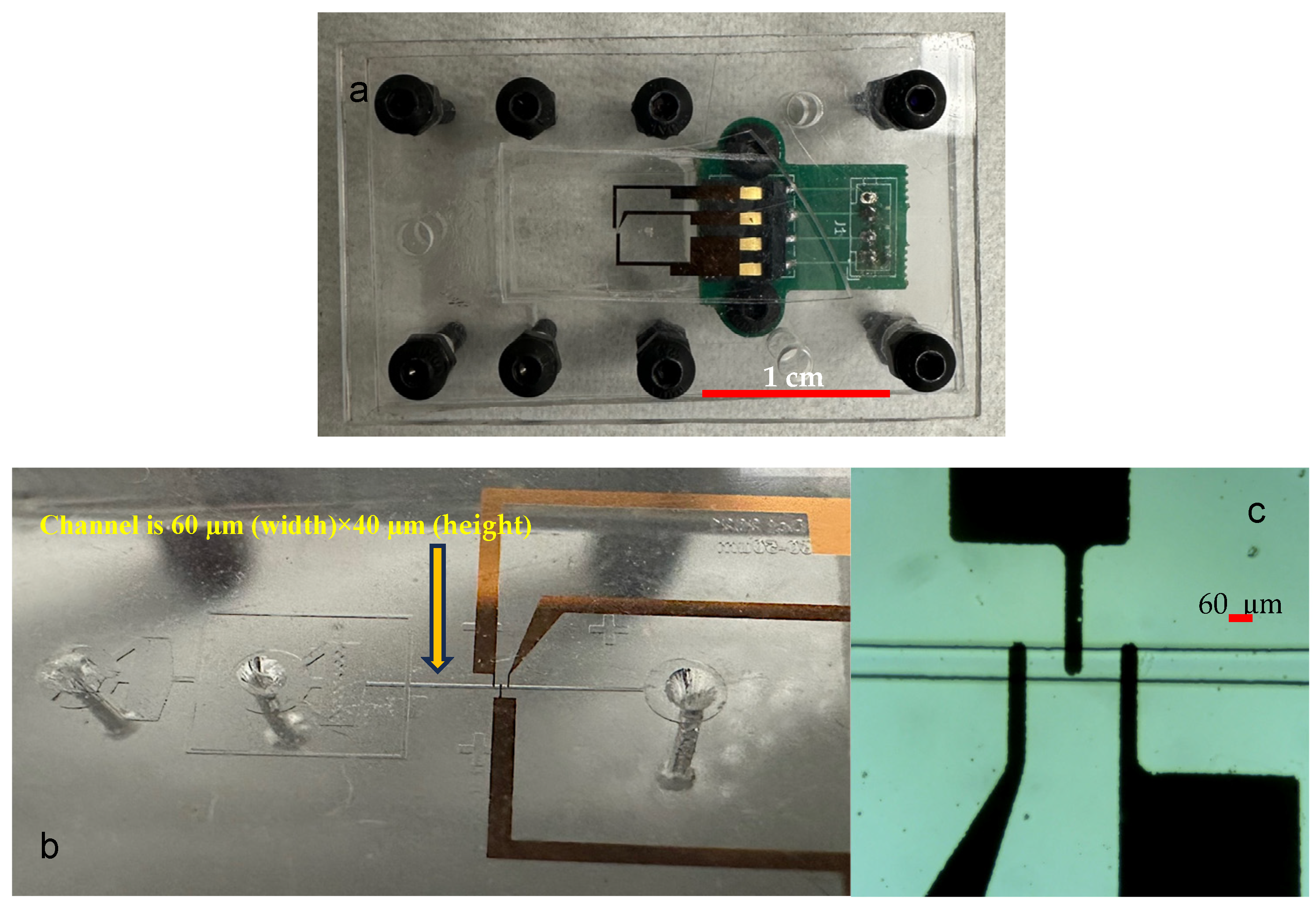 Environments 11 00096 g001