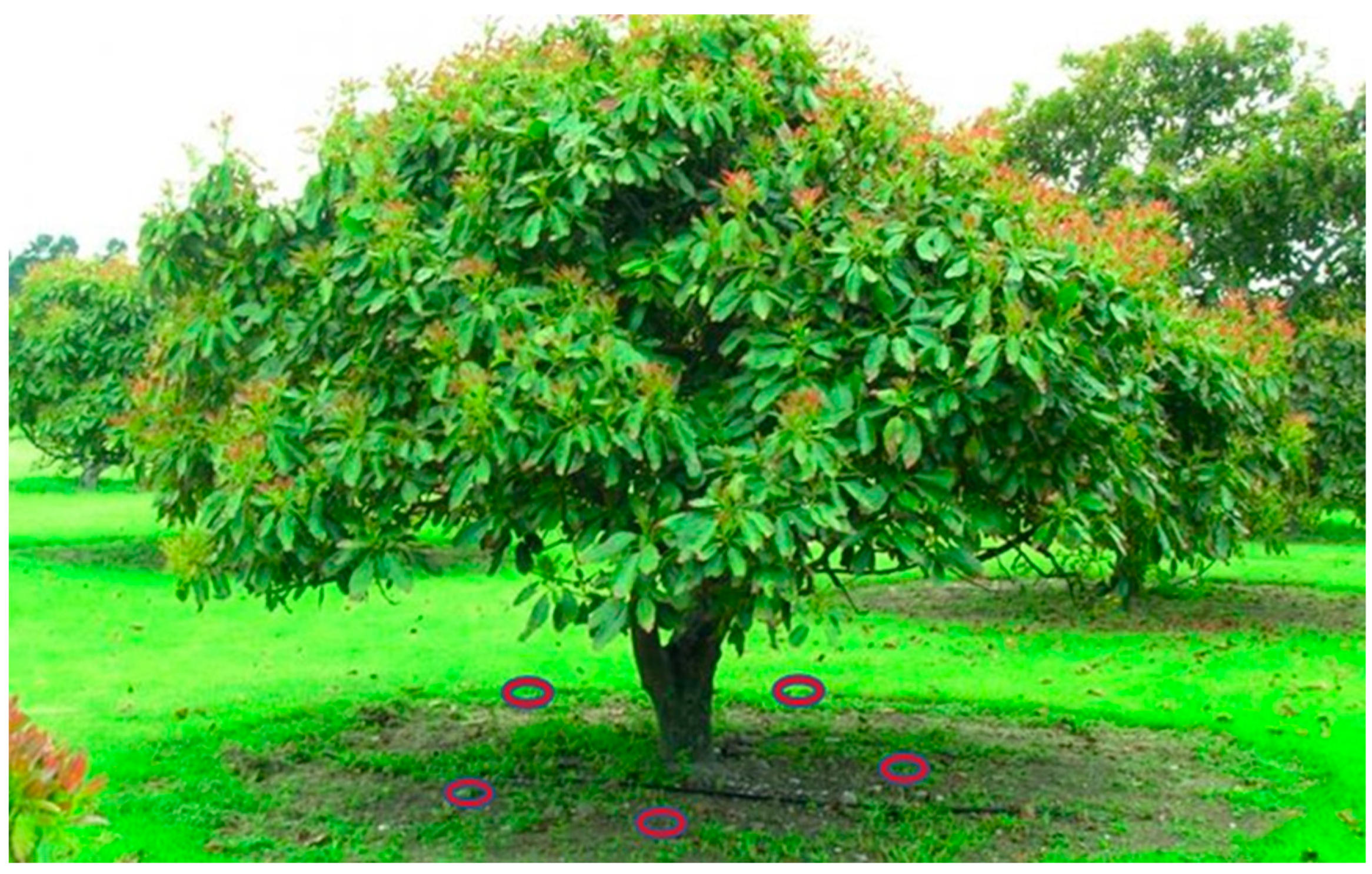 Environments 11 00109 g001