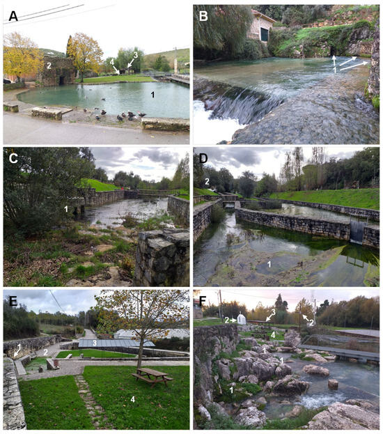 The Cultural Ecohydrogeology of Mediterranean-Climate Springs: A Global ...